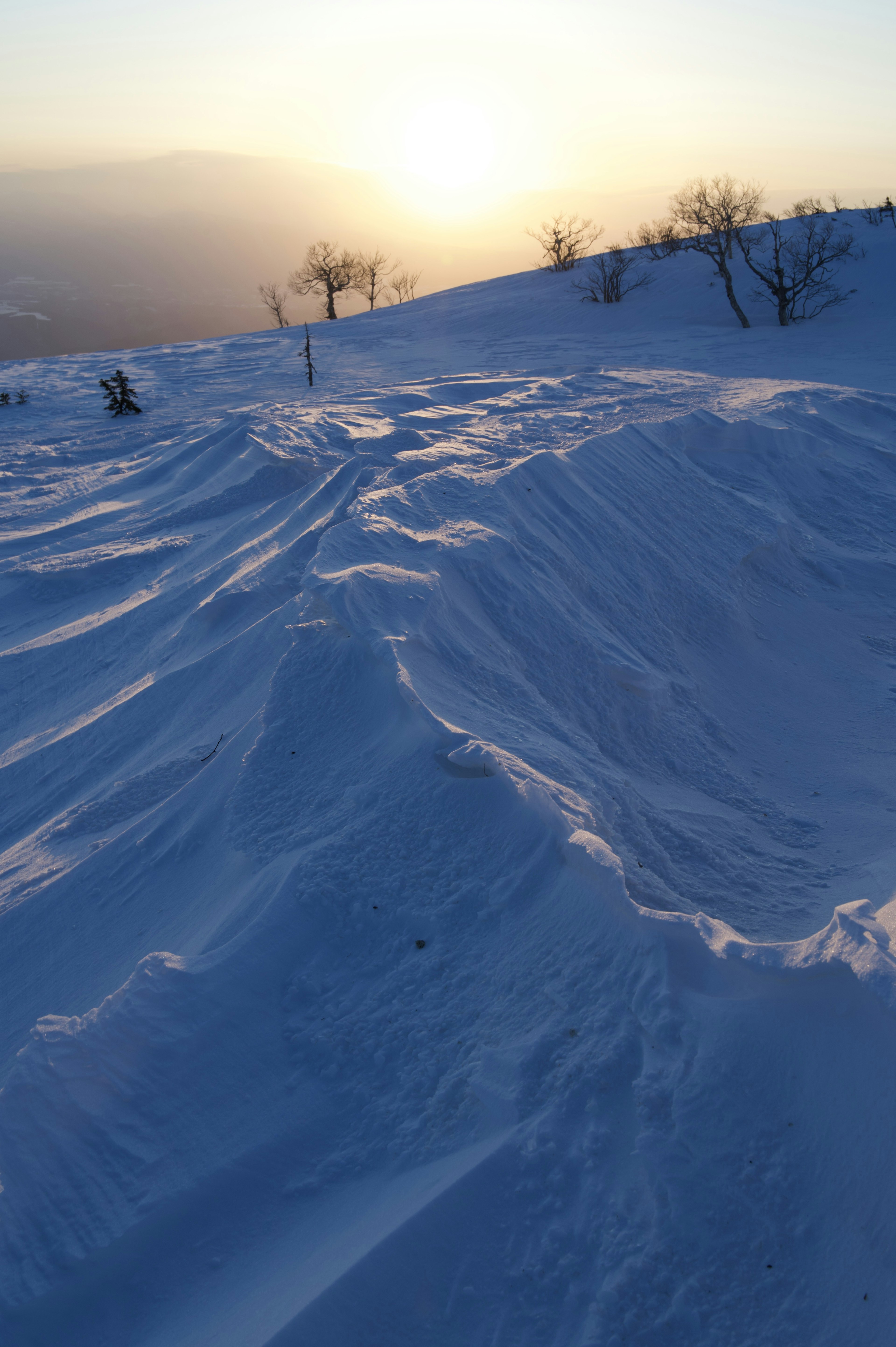 雪に覆われた風景と太陽の光が差し込むシーン