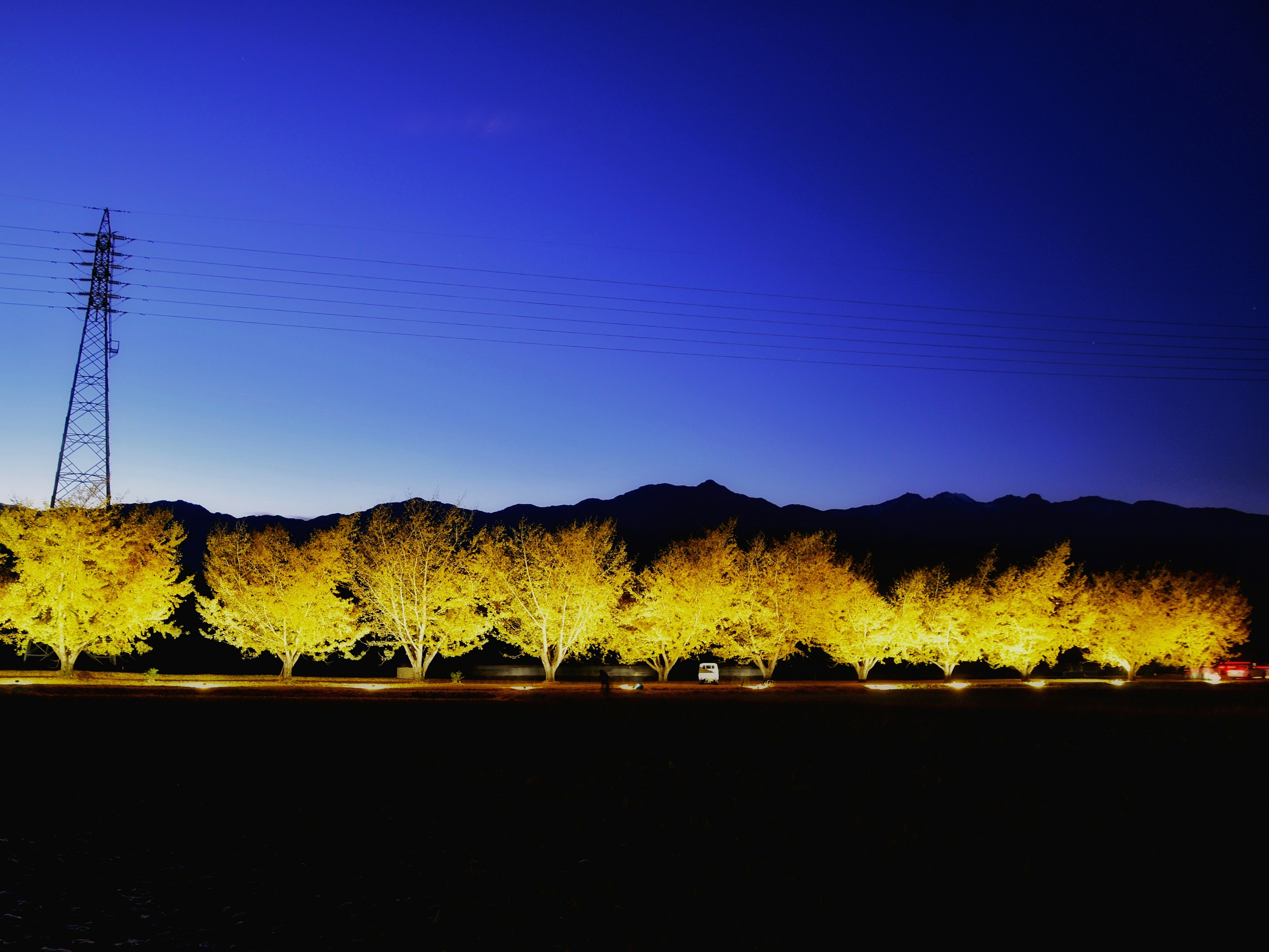 Row of illuminated yellow trees under a night sky with mountains in the background