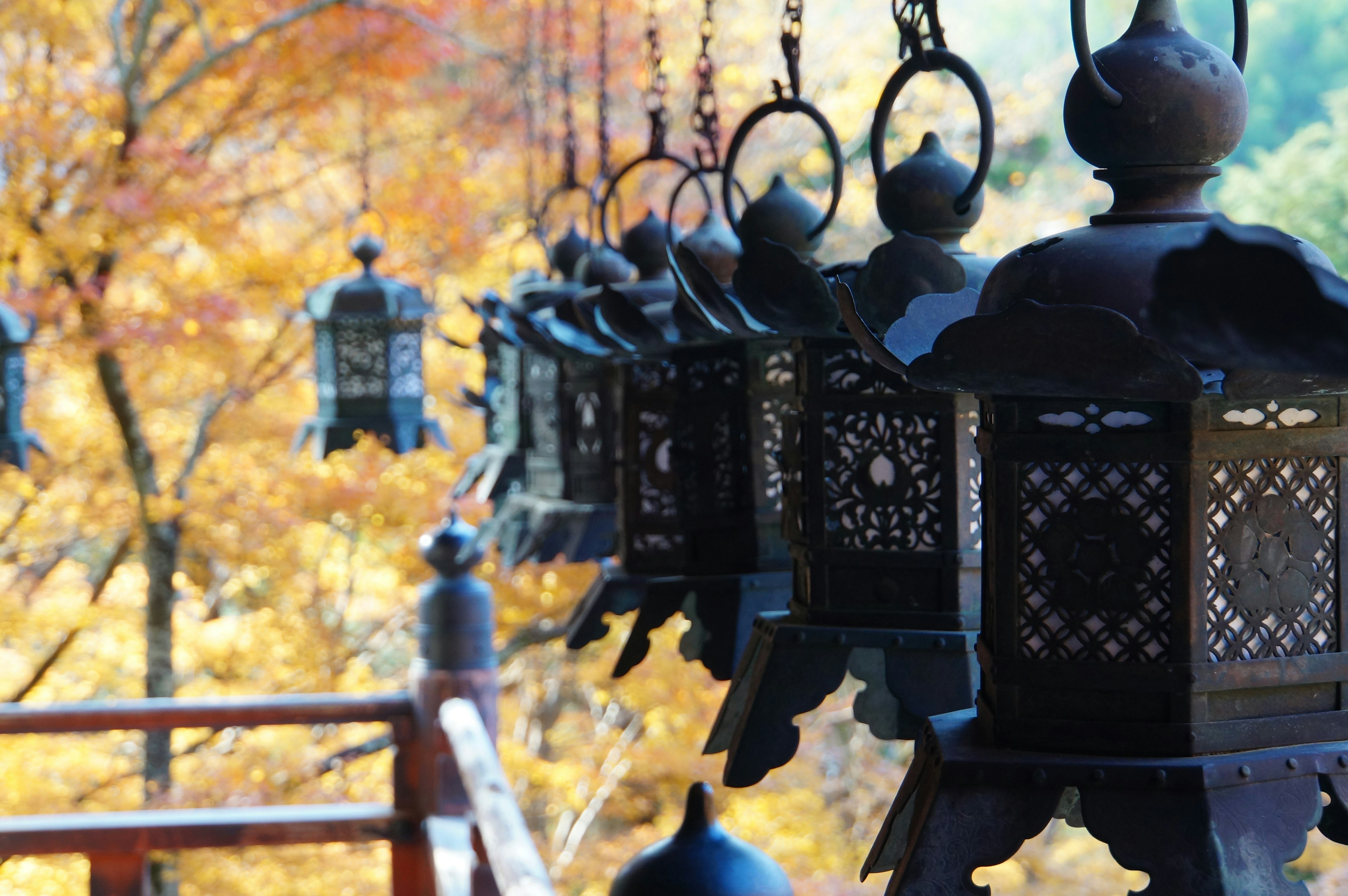 Lanternes décoratives suspendues dans un paysage d'automne