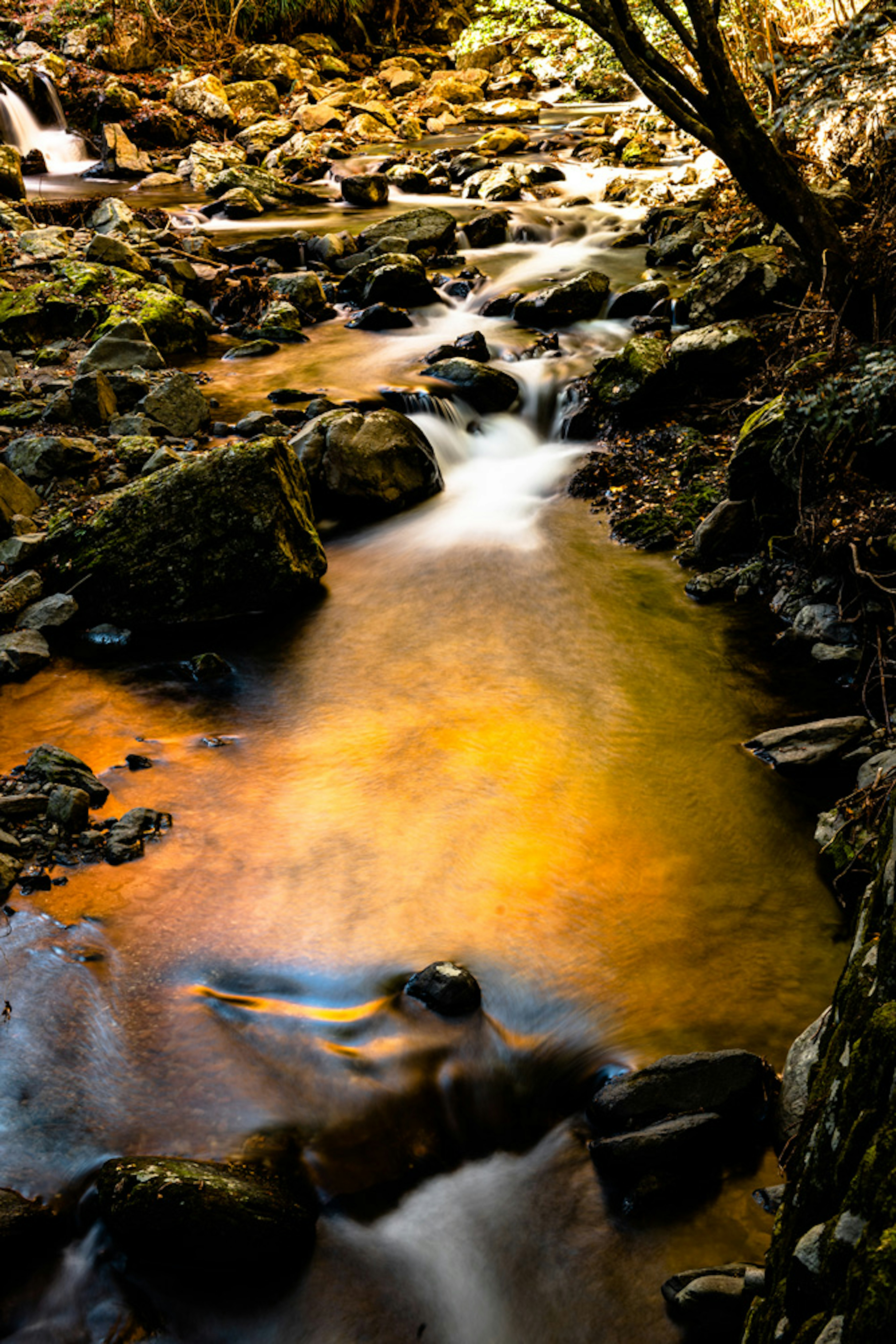 A serene stream flowing over colorful stones in a natural setting