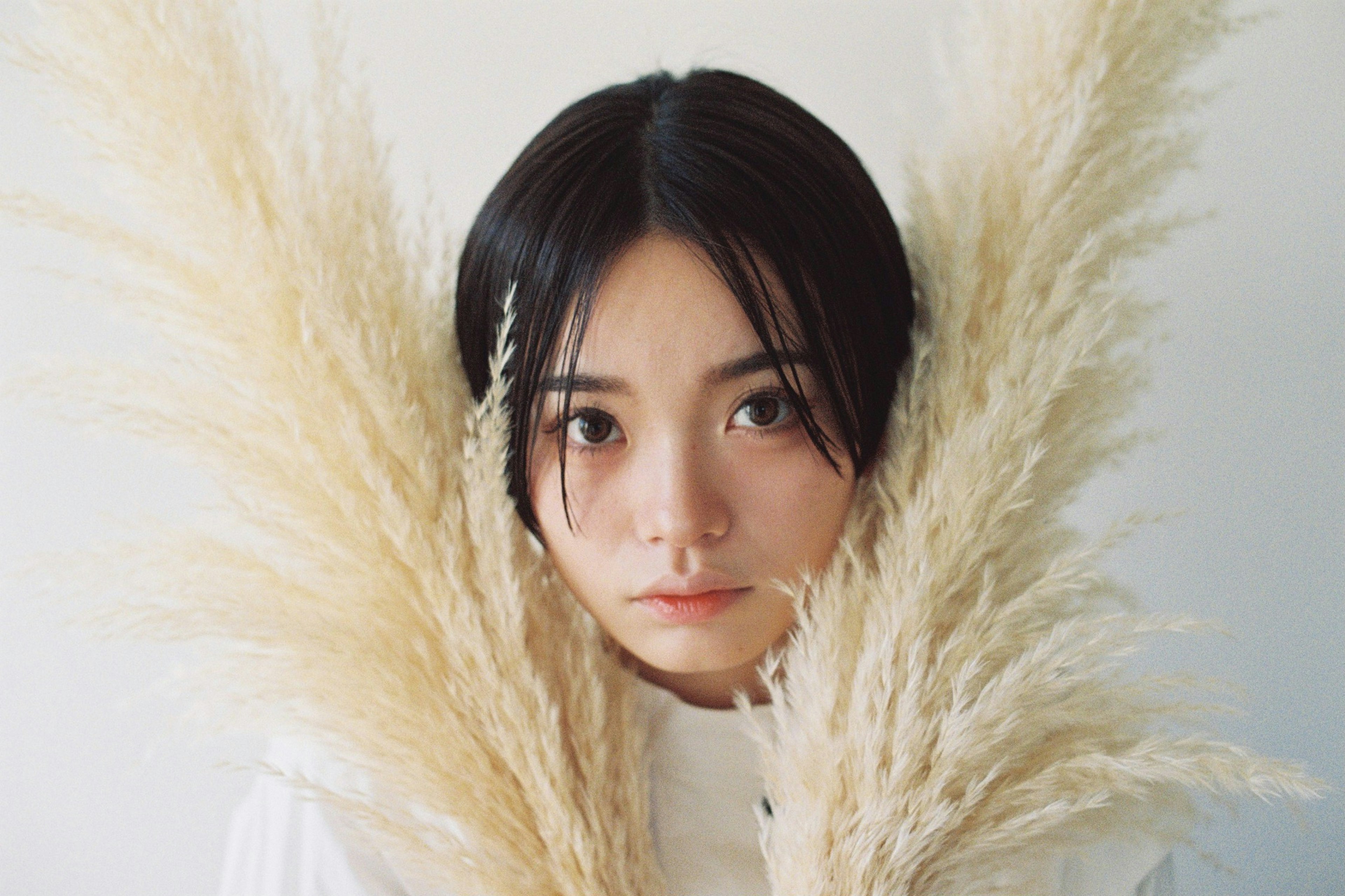 Portrait of a woman holding pampas grass against a white background