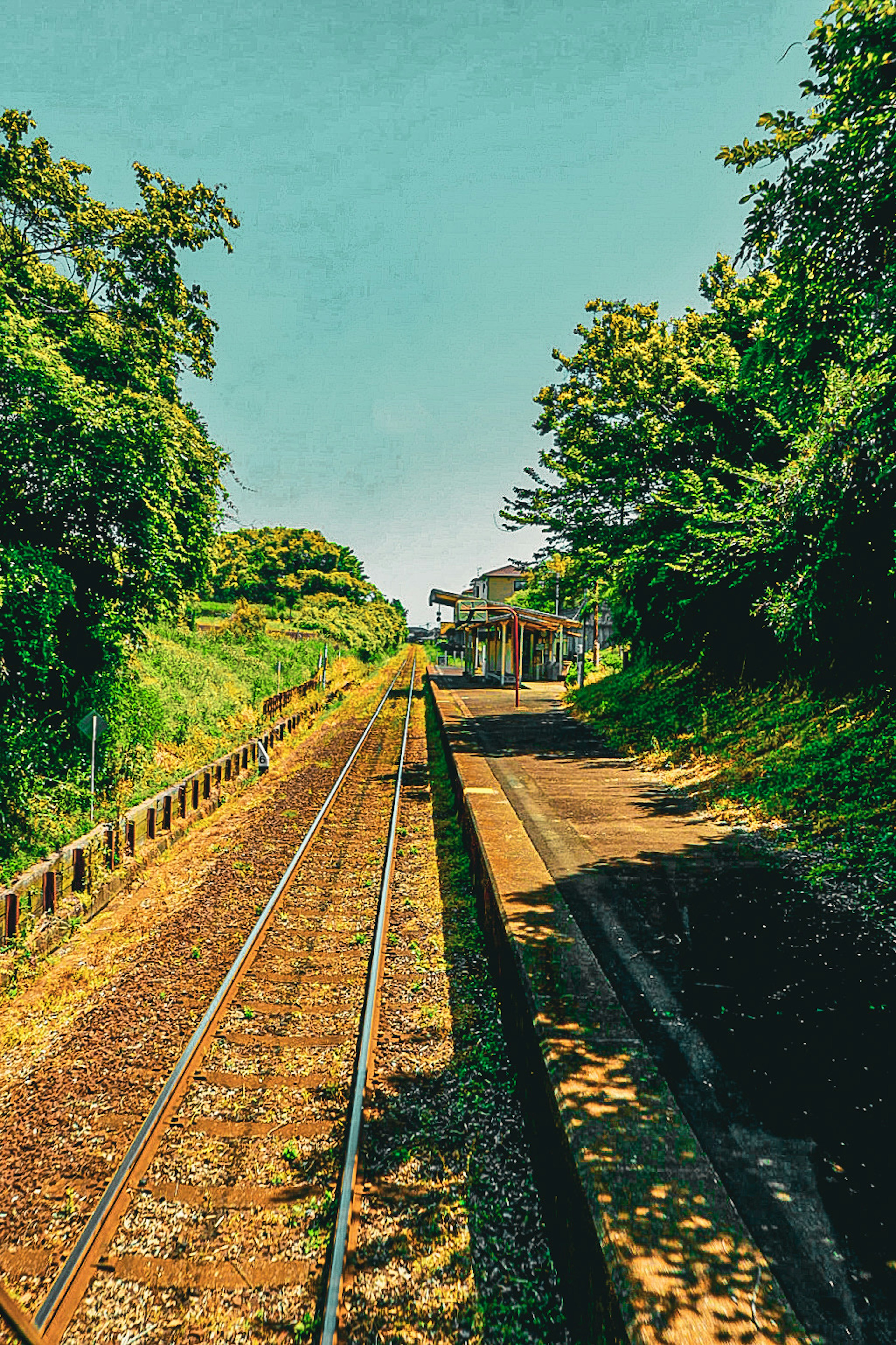 Scenic view of a train station surrounded by greenery and railway tracks