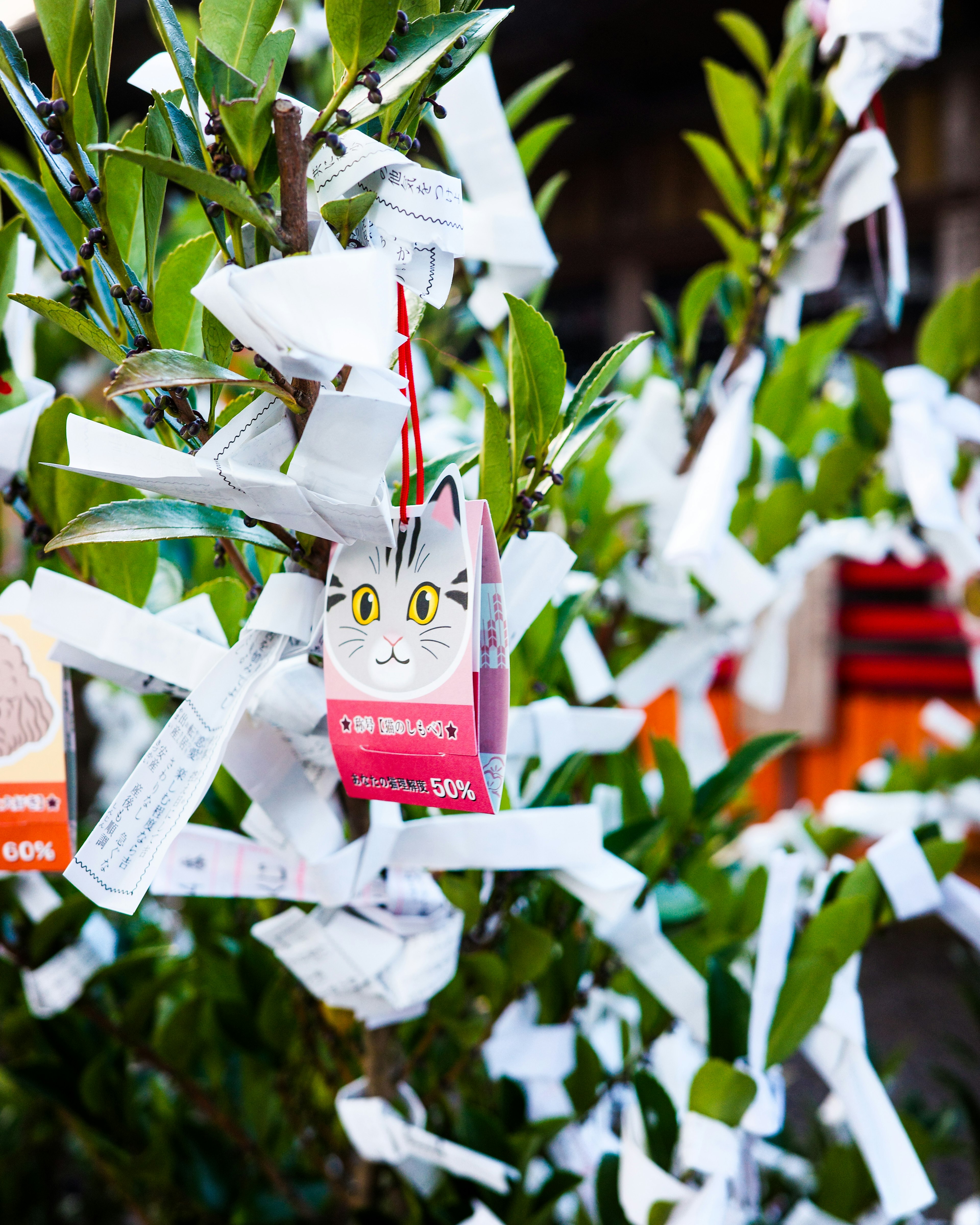 A tree adorned with numerous white paper tags and a tag featuring a cat's face illustration