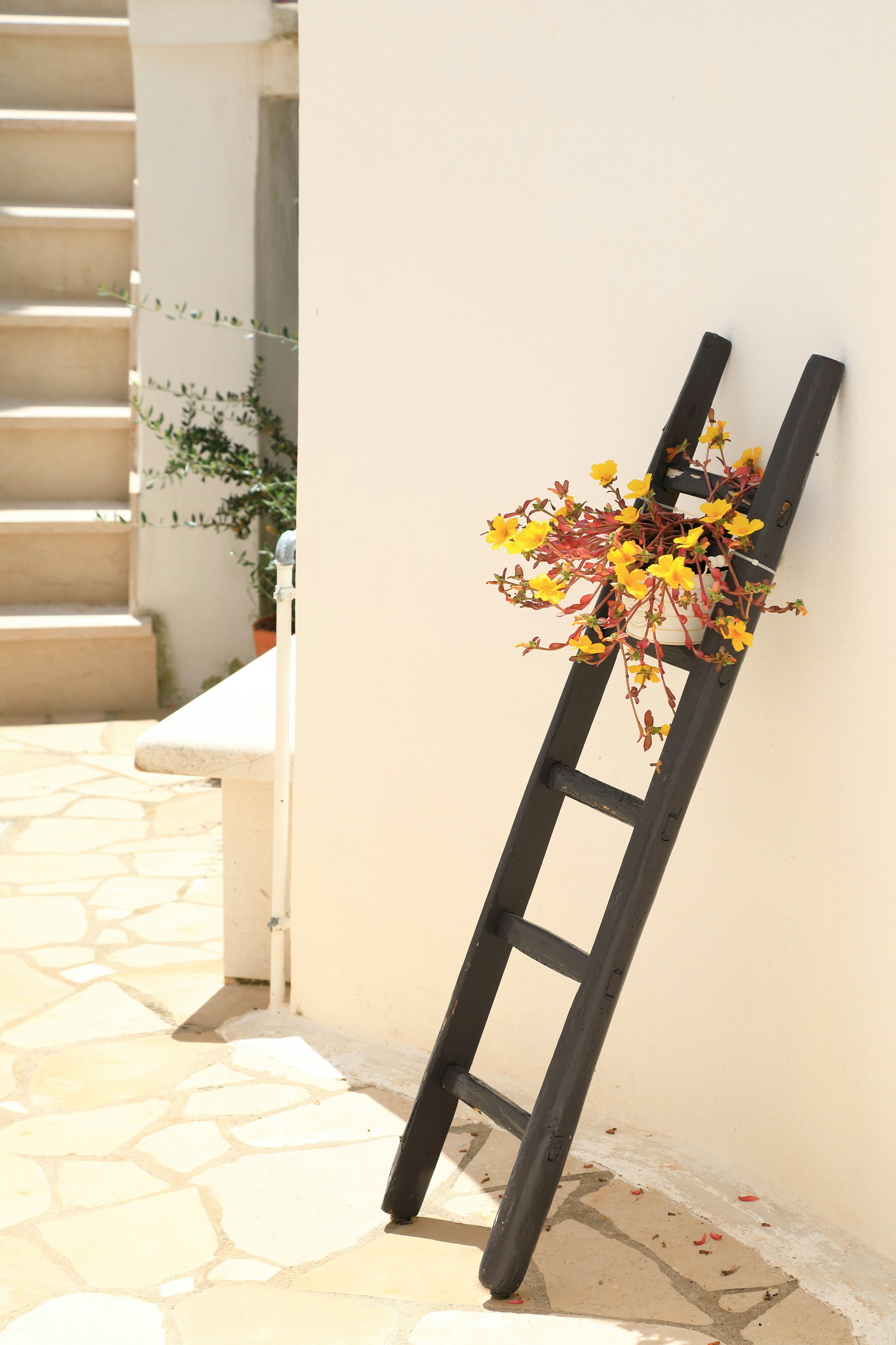 A black wooden ladder leaning against a white wall adorned with a colorful bouquet