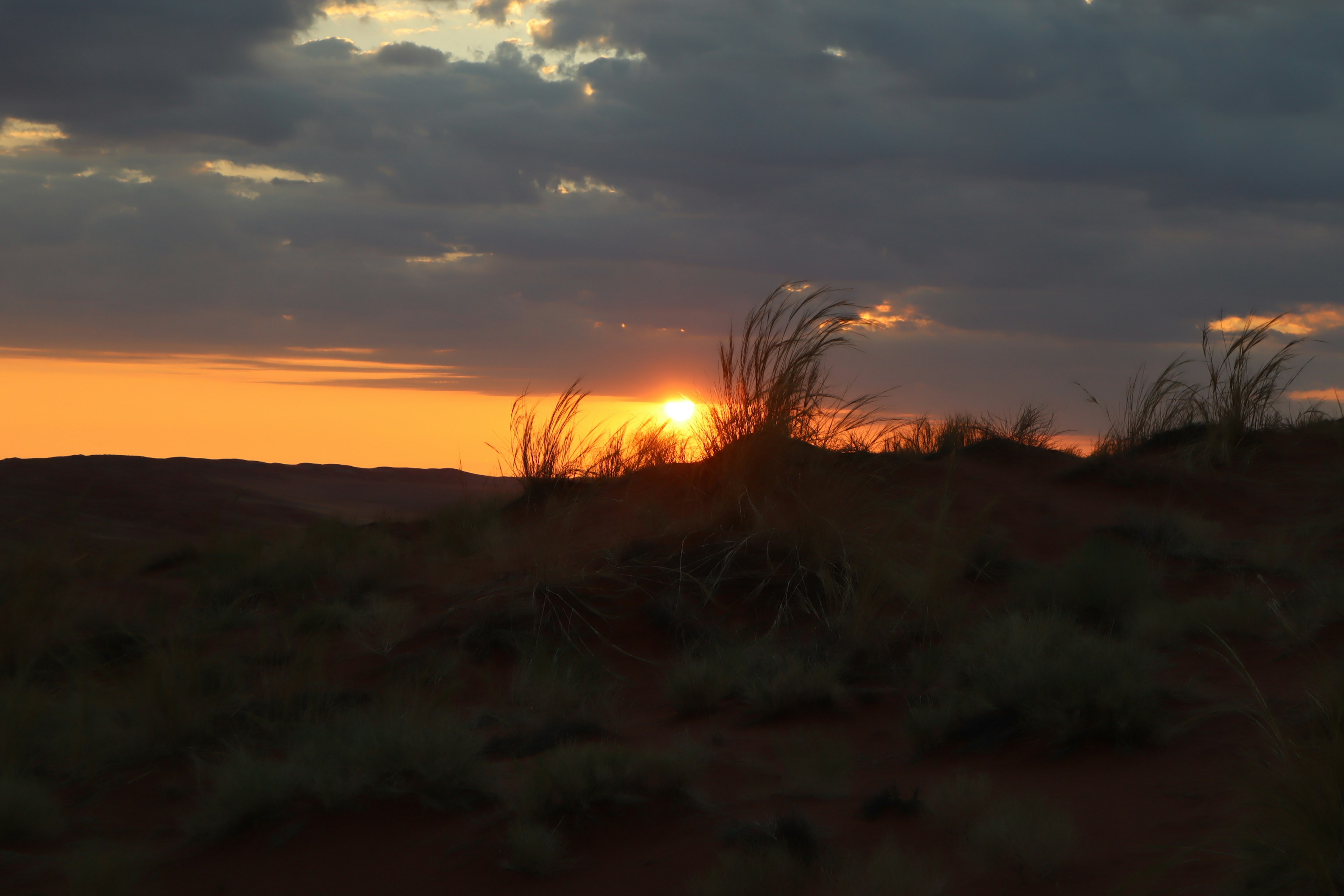 Atardecer sobre dunas de arena con hierba escasa