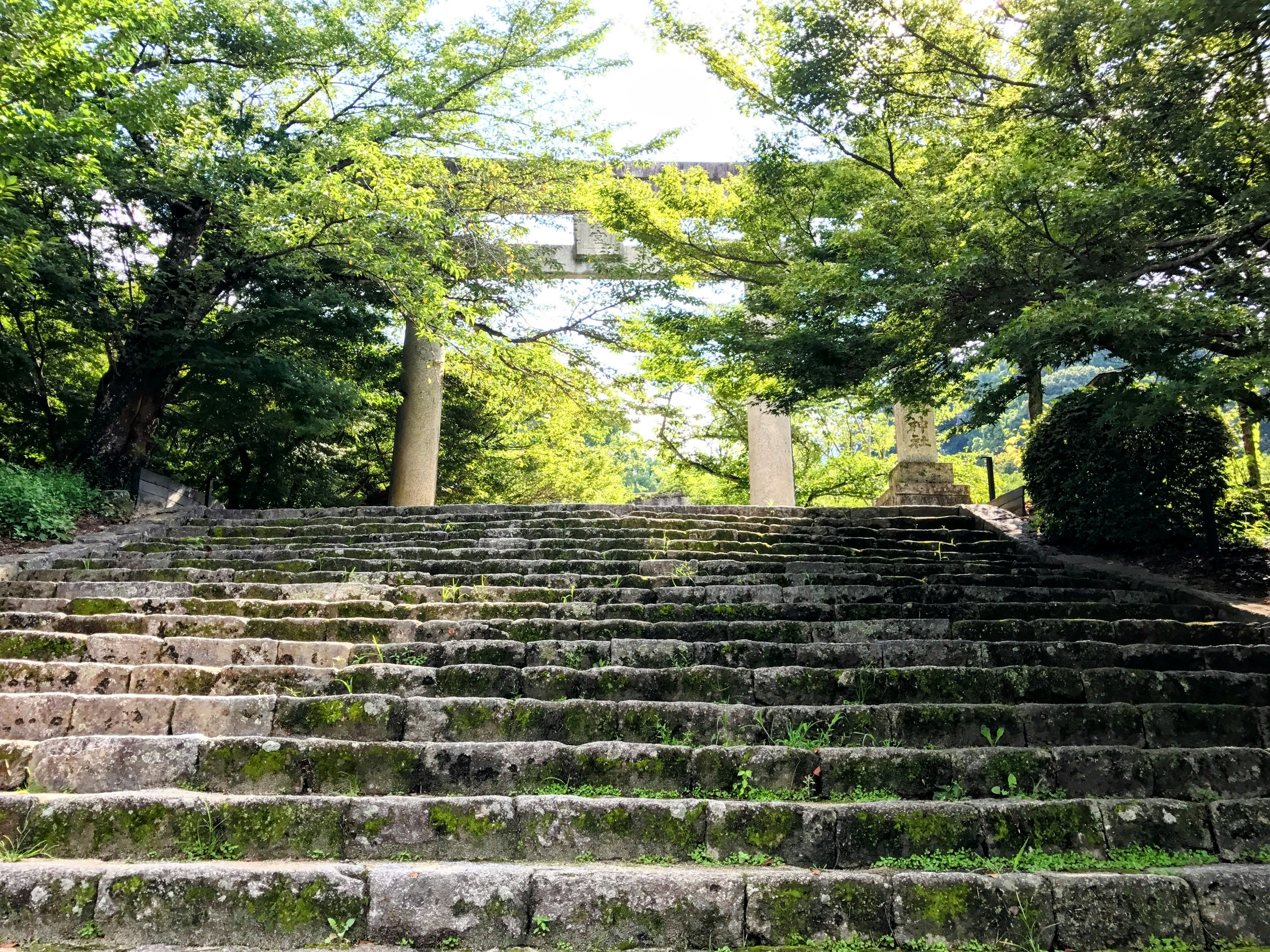 Old stone steps leading to a torii gate surrounded by greenery