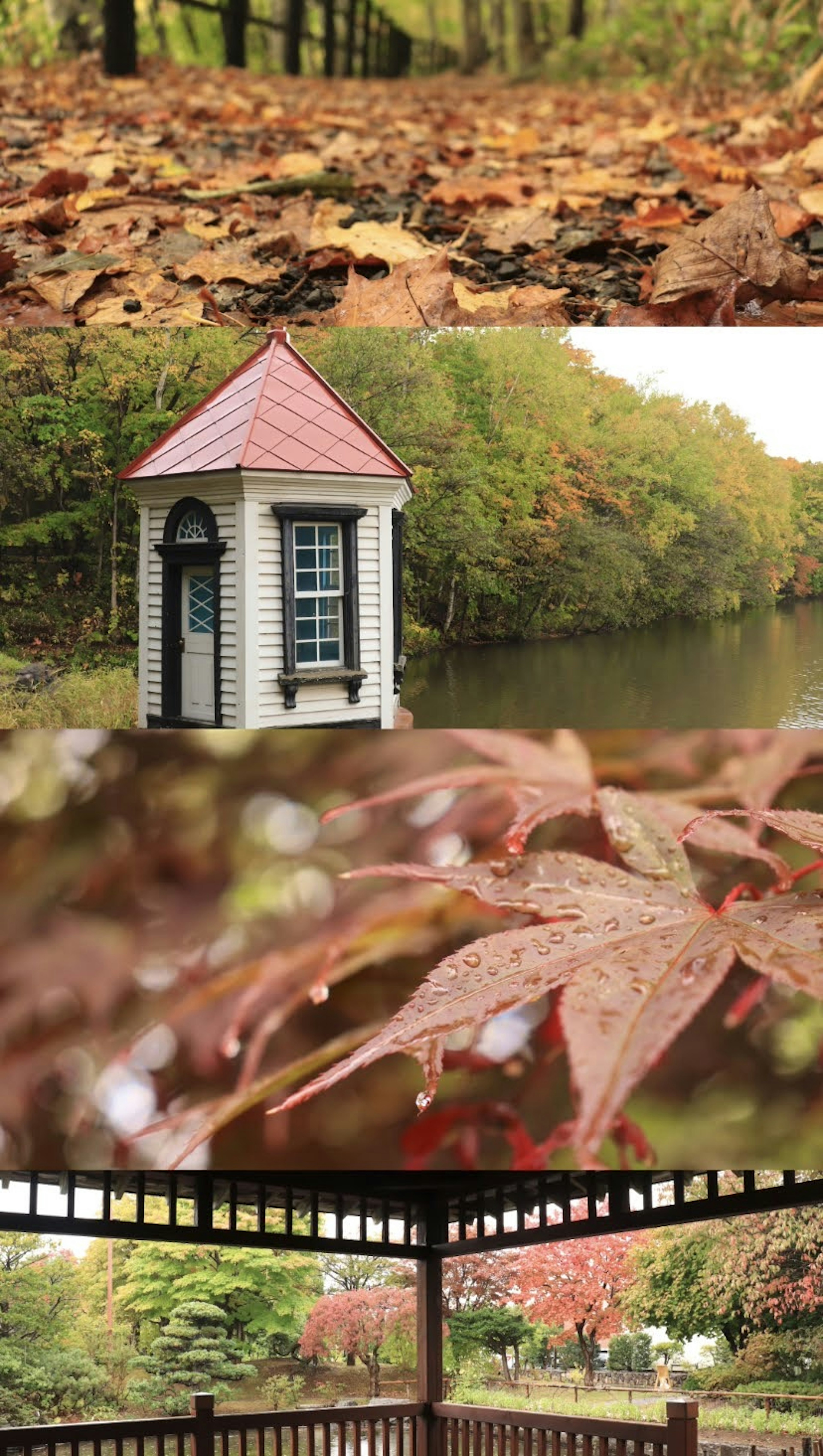 美しい秋の風景 落ち葉と小屋 水辺の風景