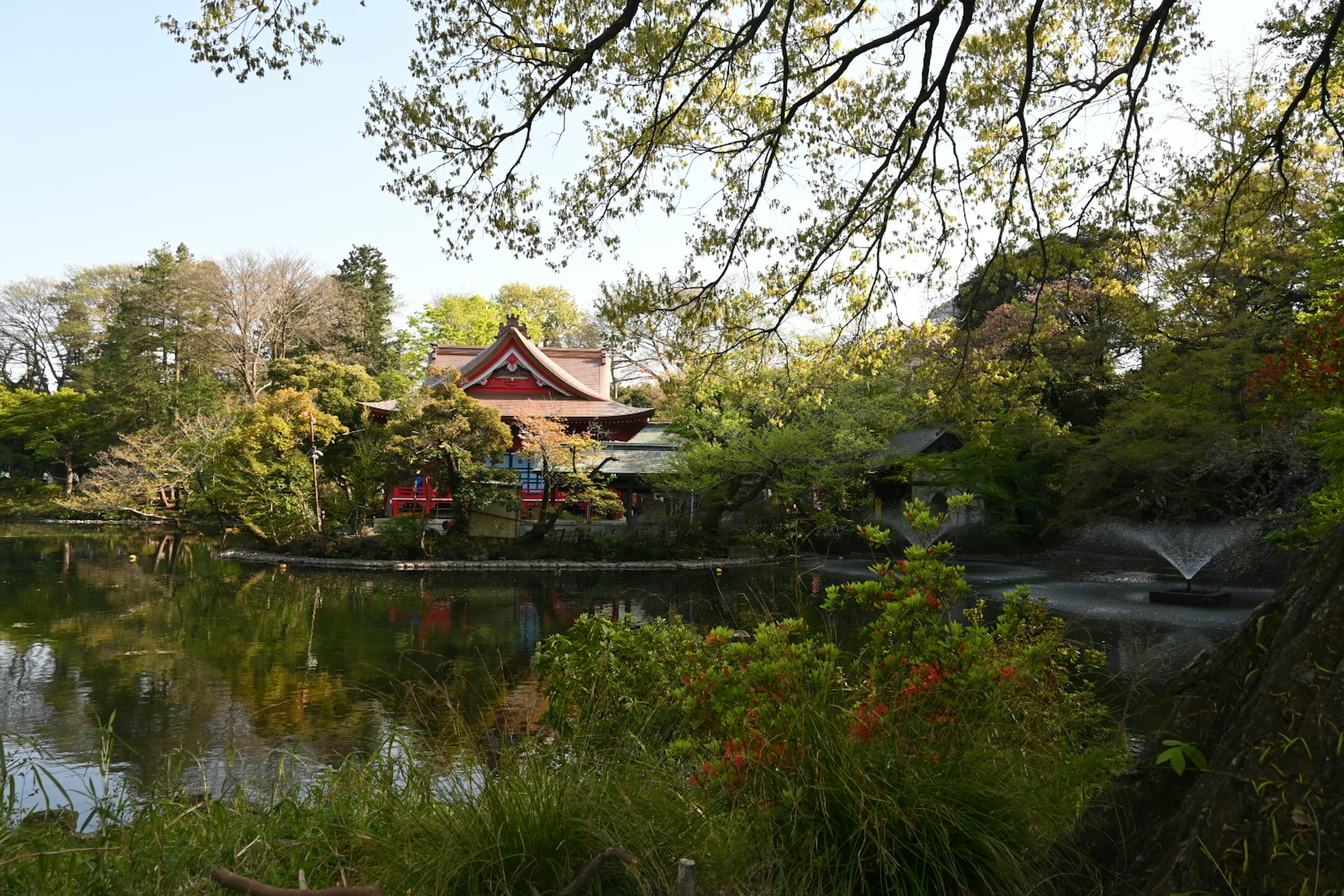 宁静的风景中，传统建筑倒映在宁静的池塘中，四周环绕着郁郁葱葱的绿色植物