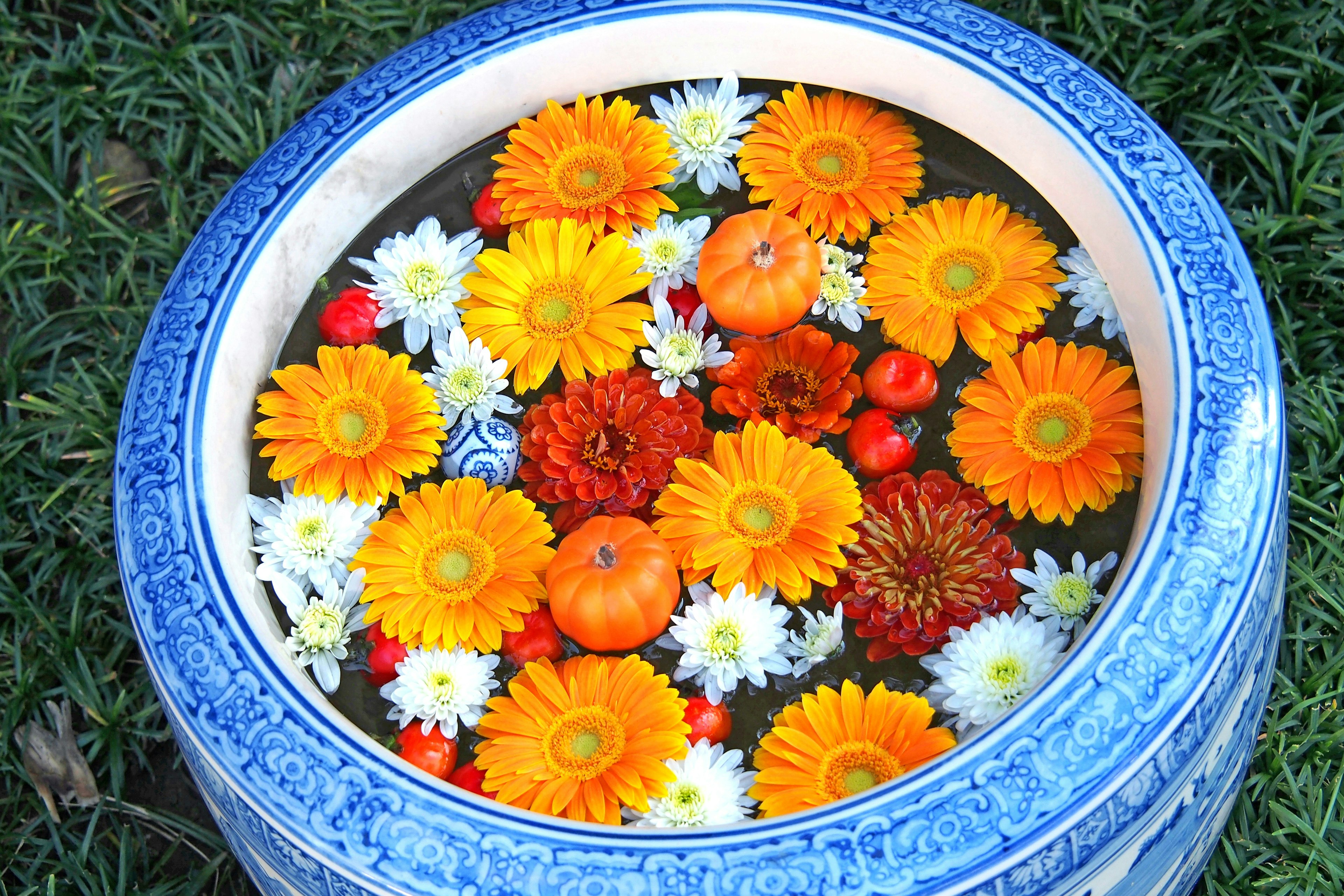 Colorful flowers and small pumpkins floating in a blue ceramic bowl