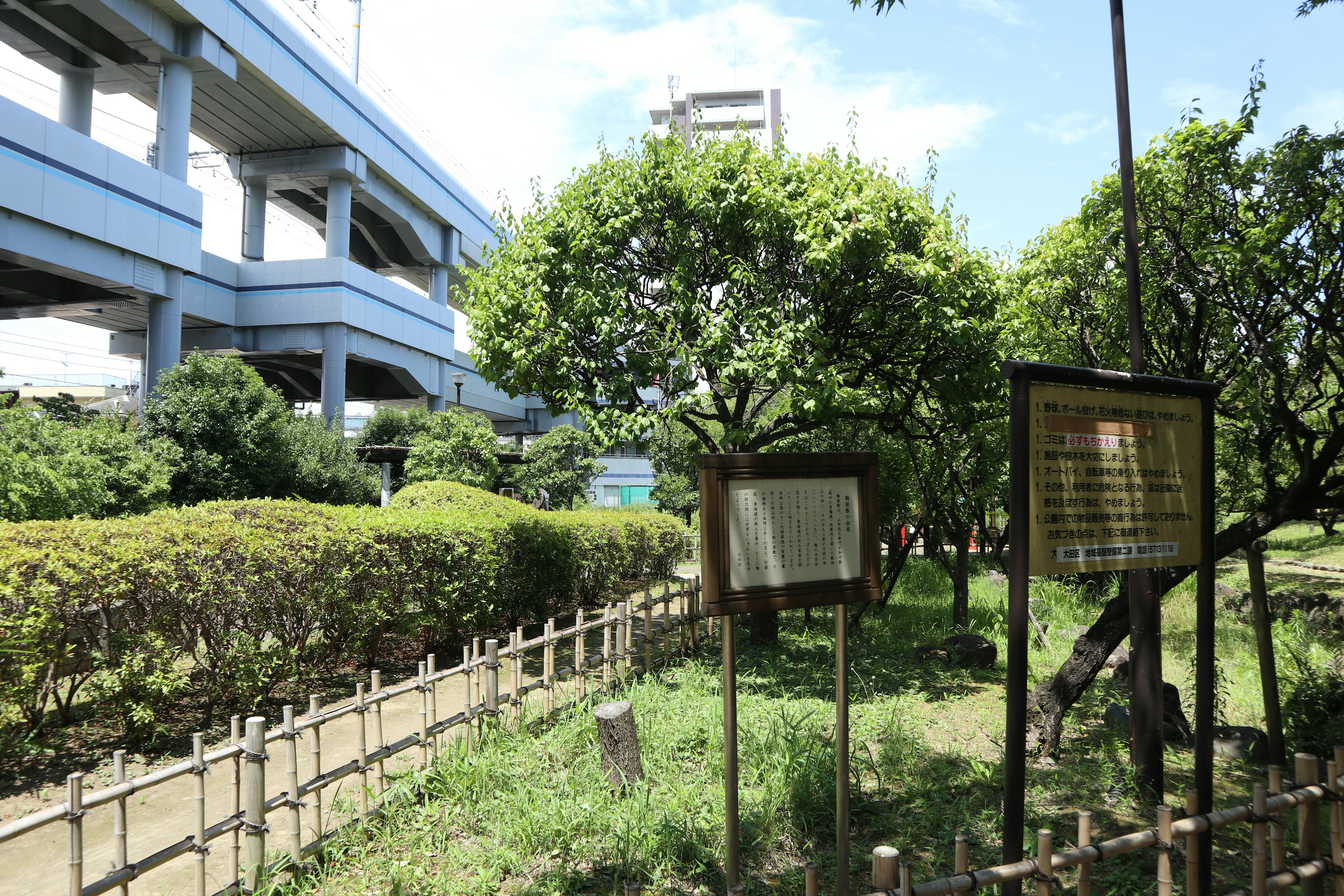 Pemandangan taman dengan pohon dan papan informasi di bawah langit biru