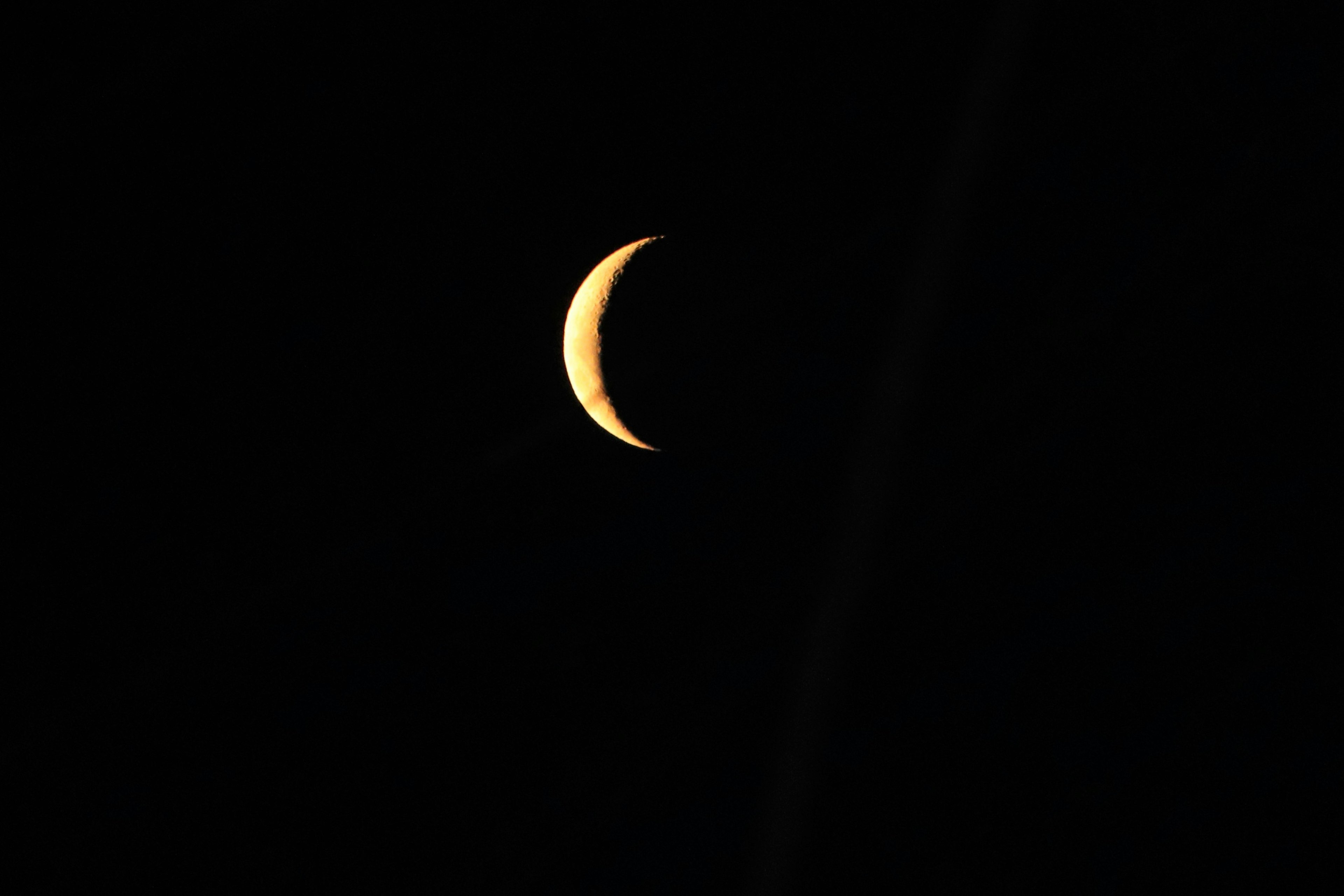 Thin crescent moon in the night sky