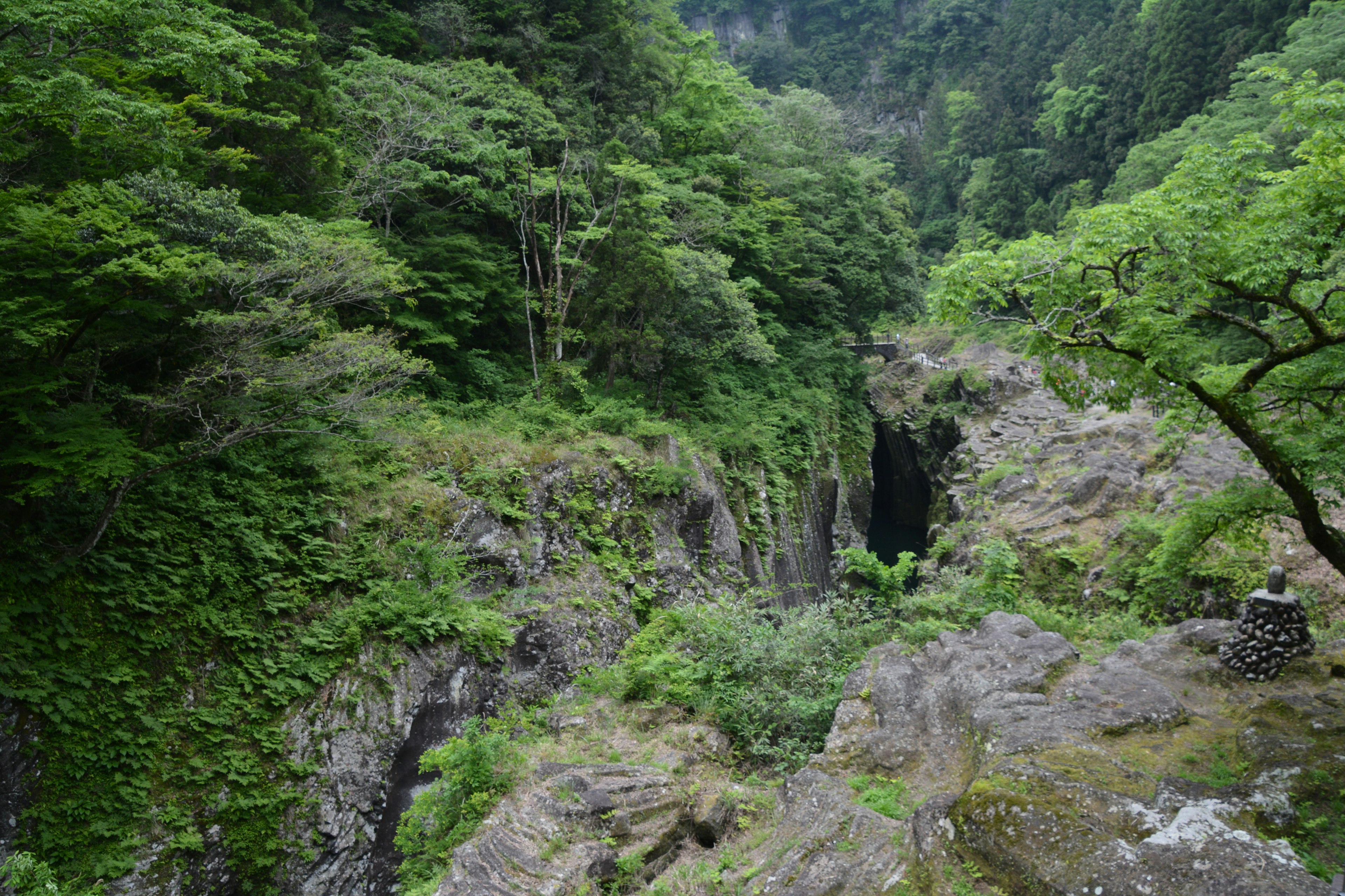 Pemandangan lembah hijau dengan batu dan pohon