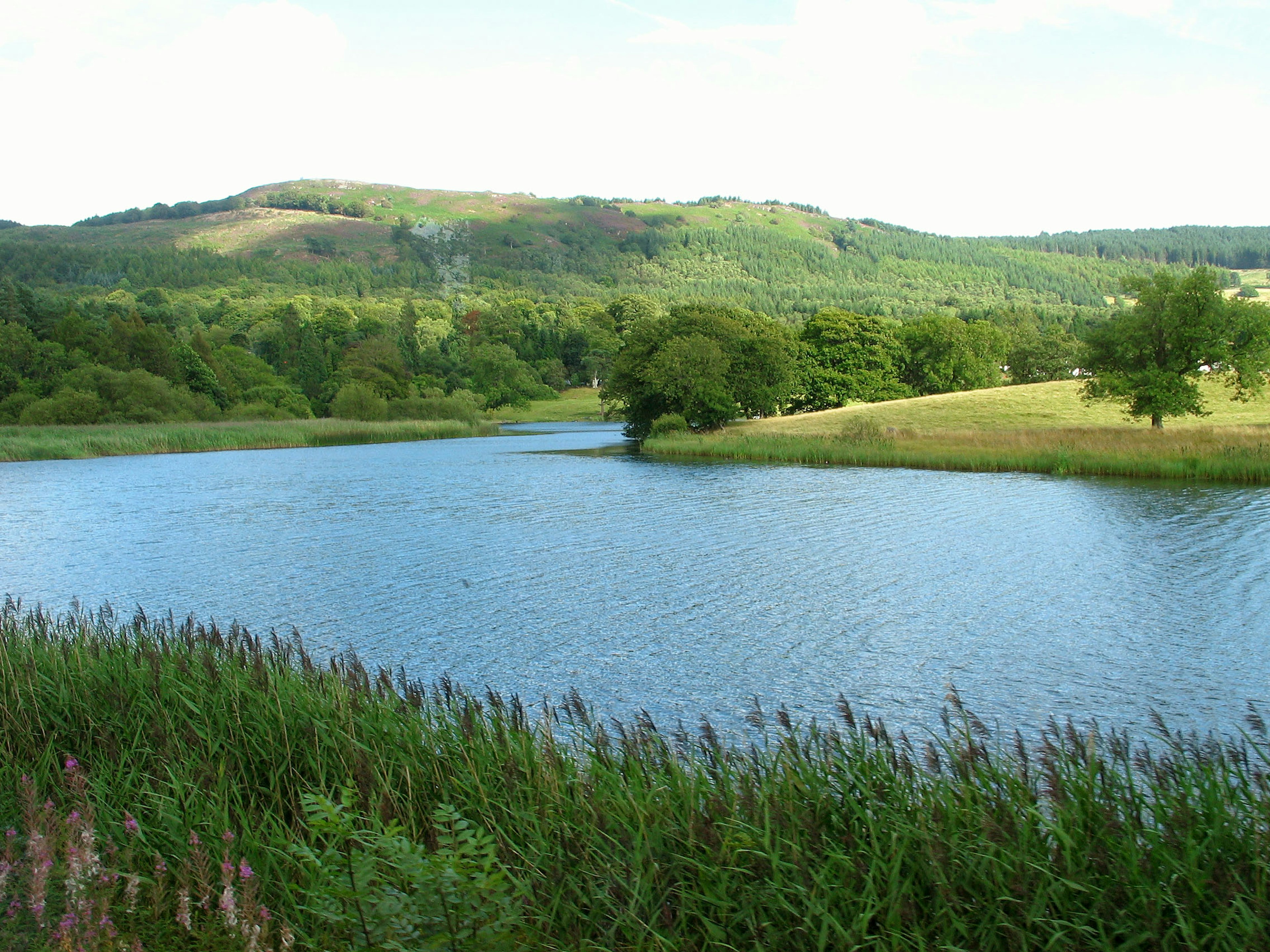 A serene lake surrounded by lush green hills and trees