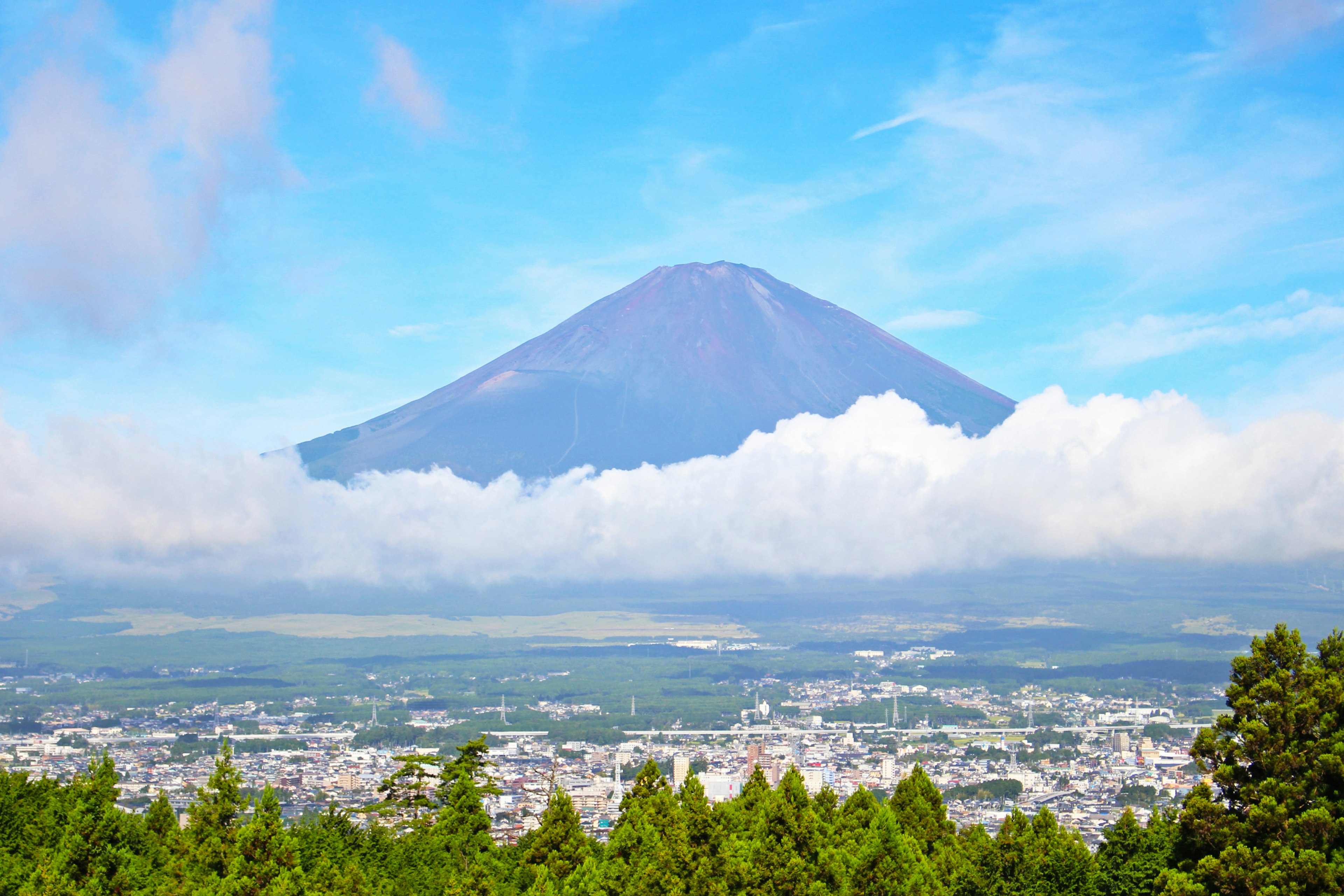 富士山矗立在雲層之上，晴朗的藍天