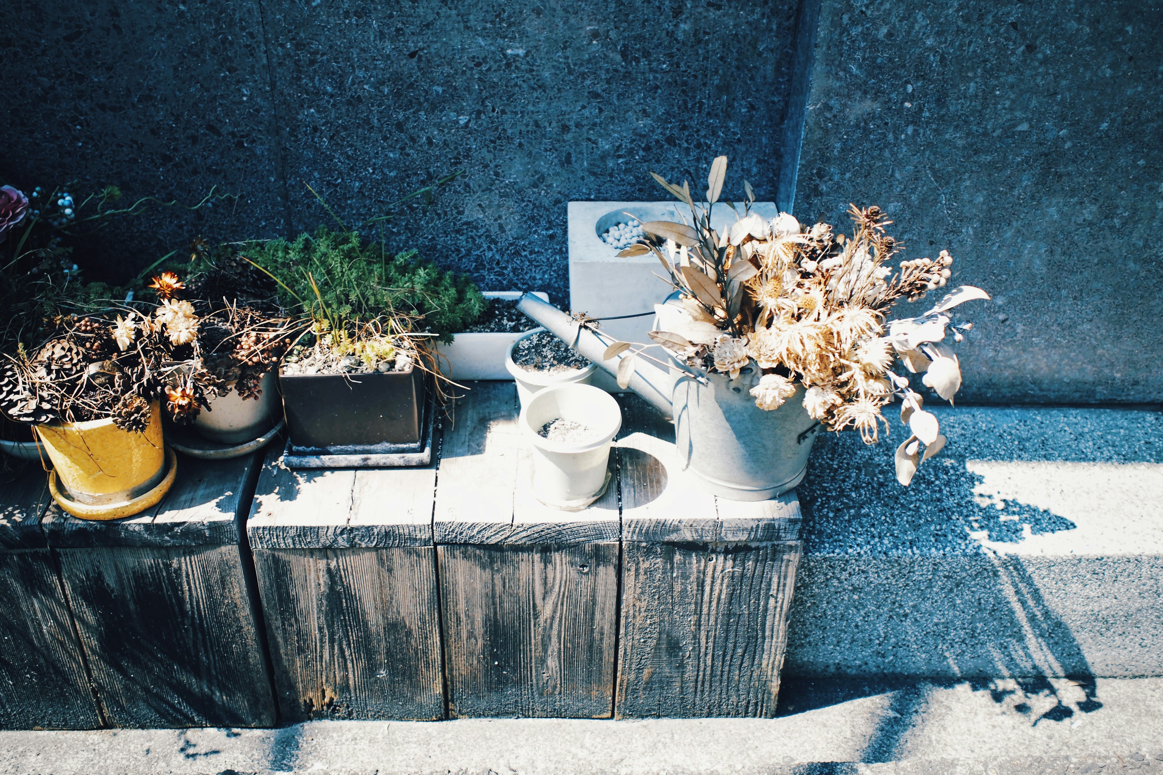 A serene scene with potted plants and a watering can on an old wooden block