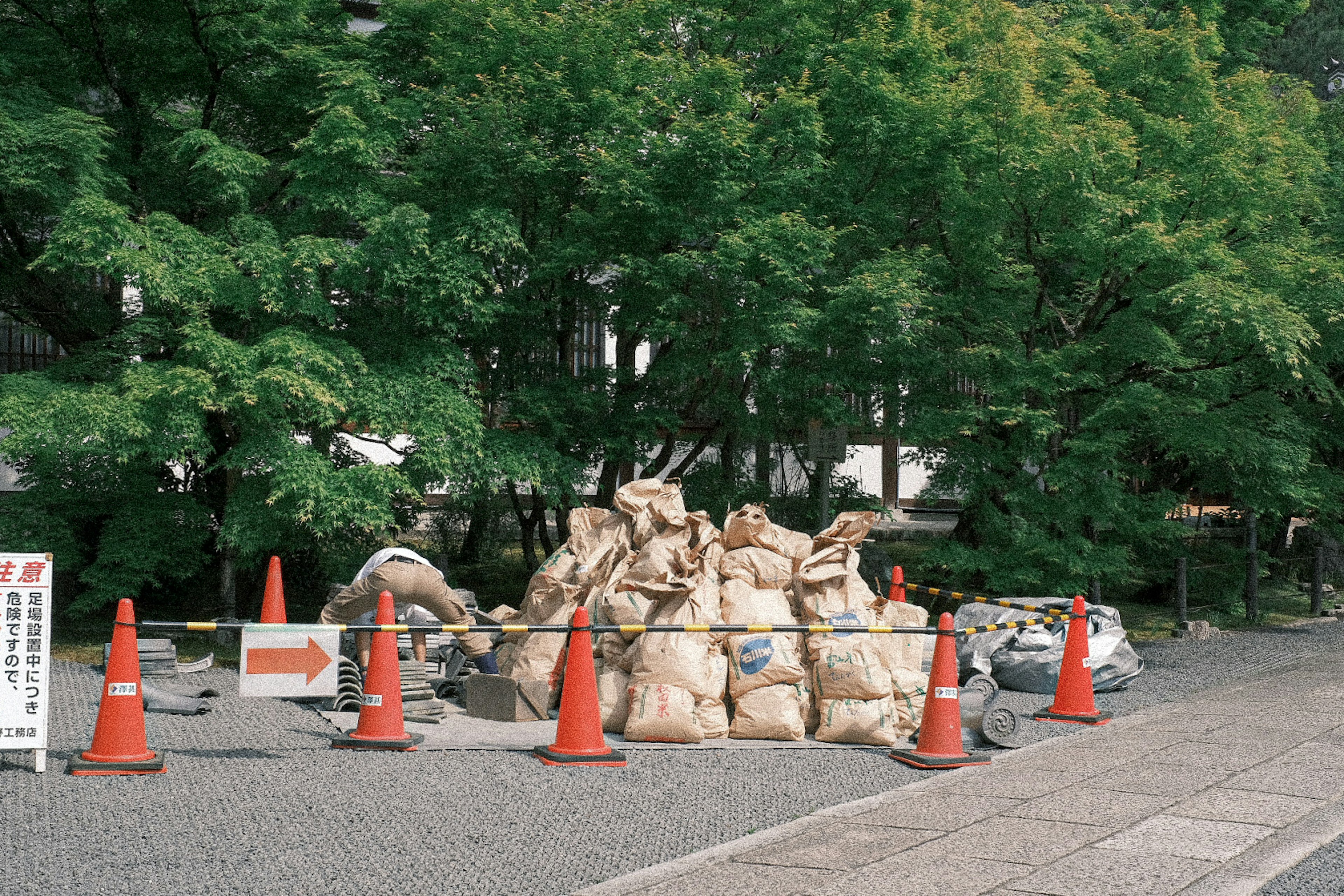 A mound of soil surrounded by orange cones with green trees in the background