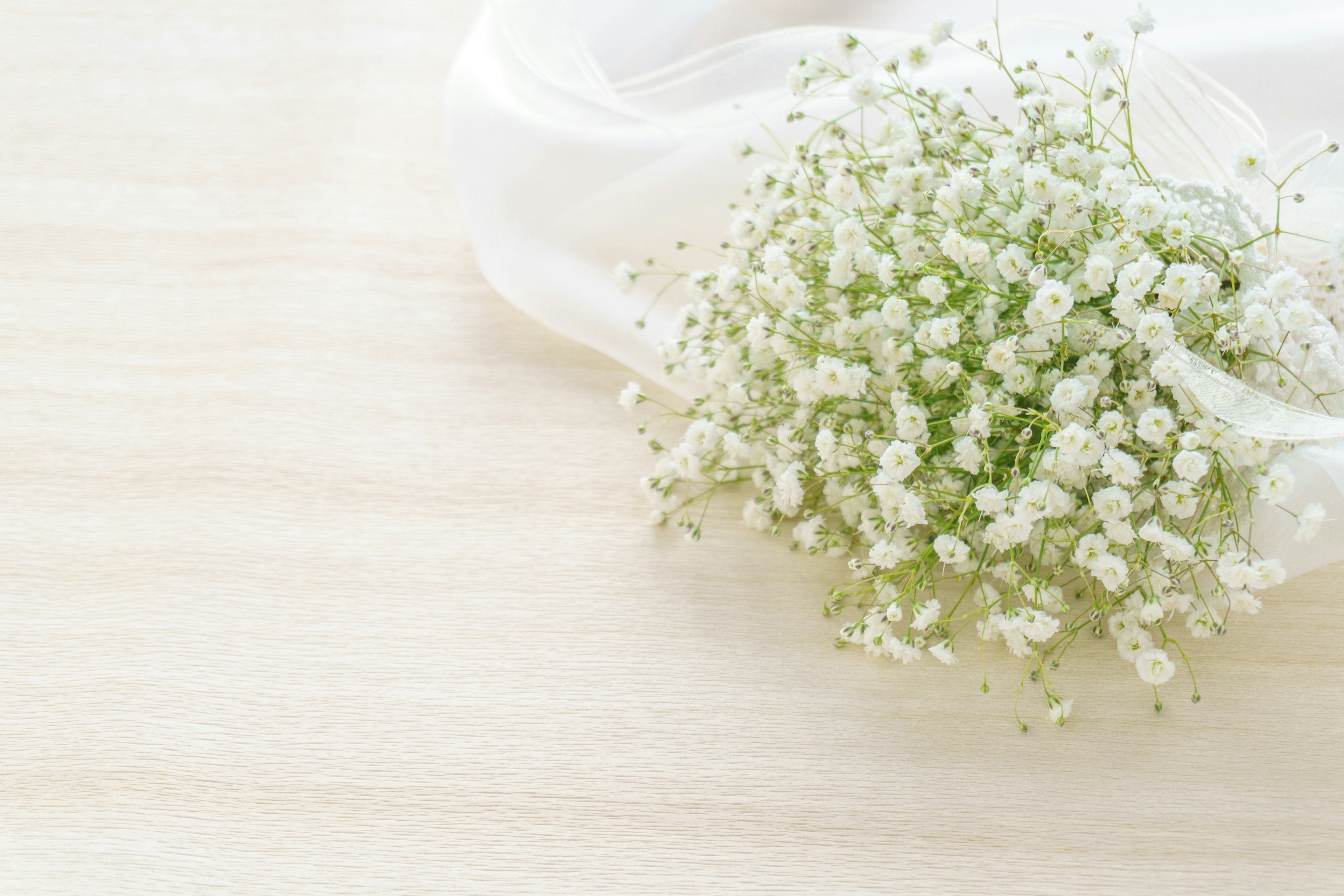 Un ramo de flores de paniculata sobre una cinta blanca