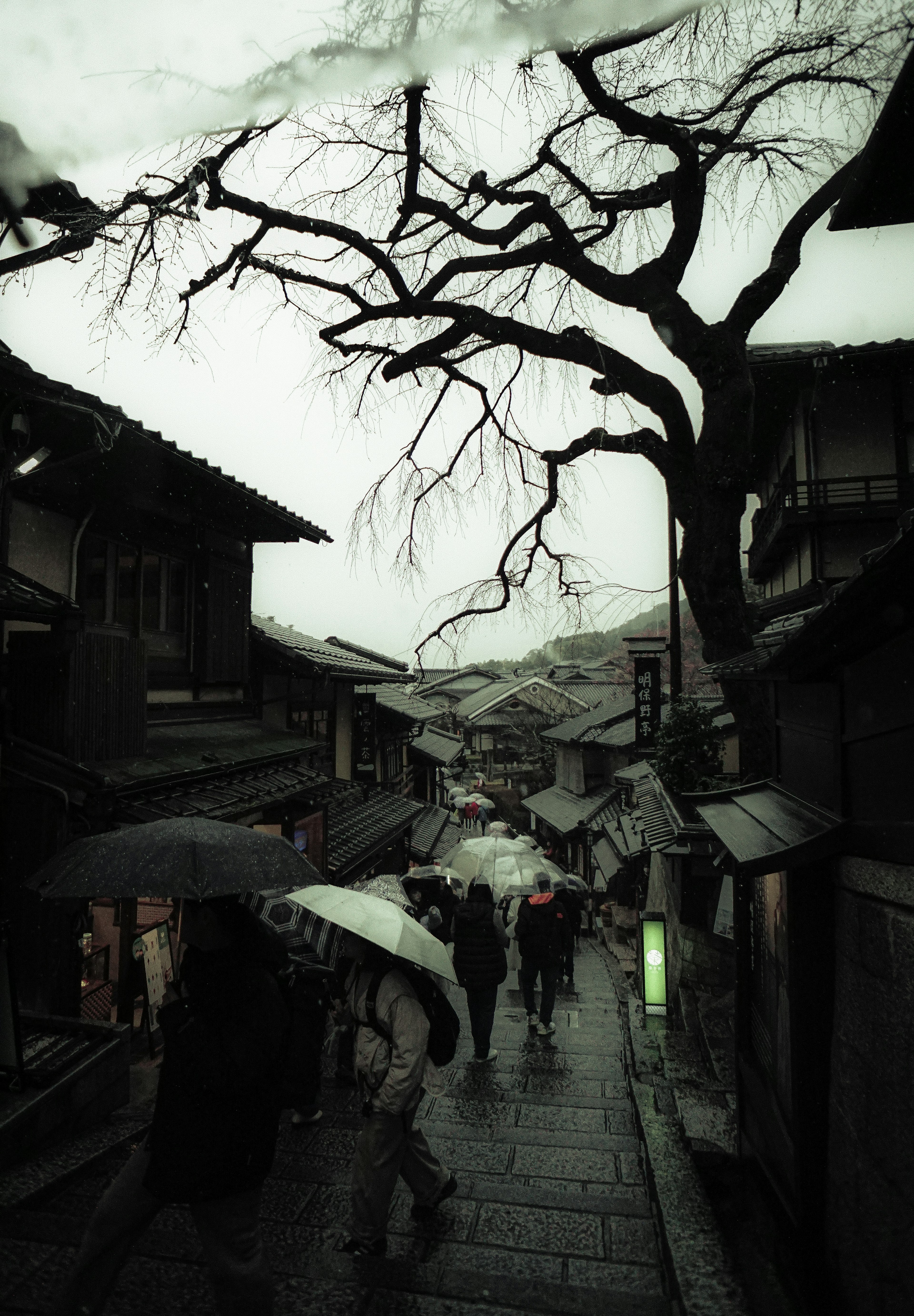 Winter street scene with people walking under umbrellas and a bare tree