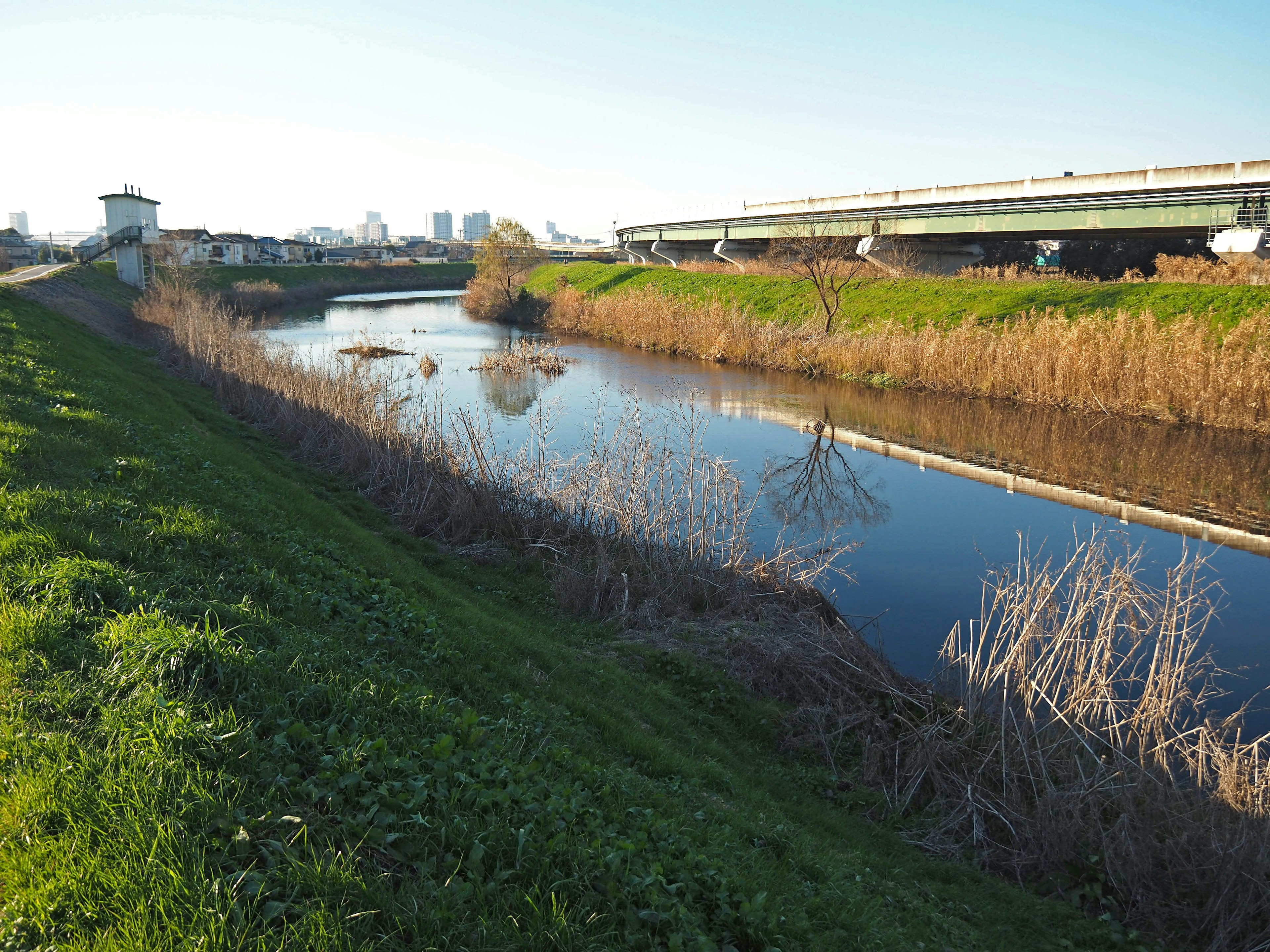 Scenic view of a river with grassy banks under bright sunlight