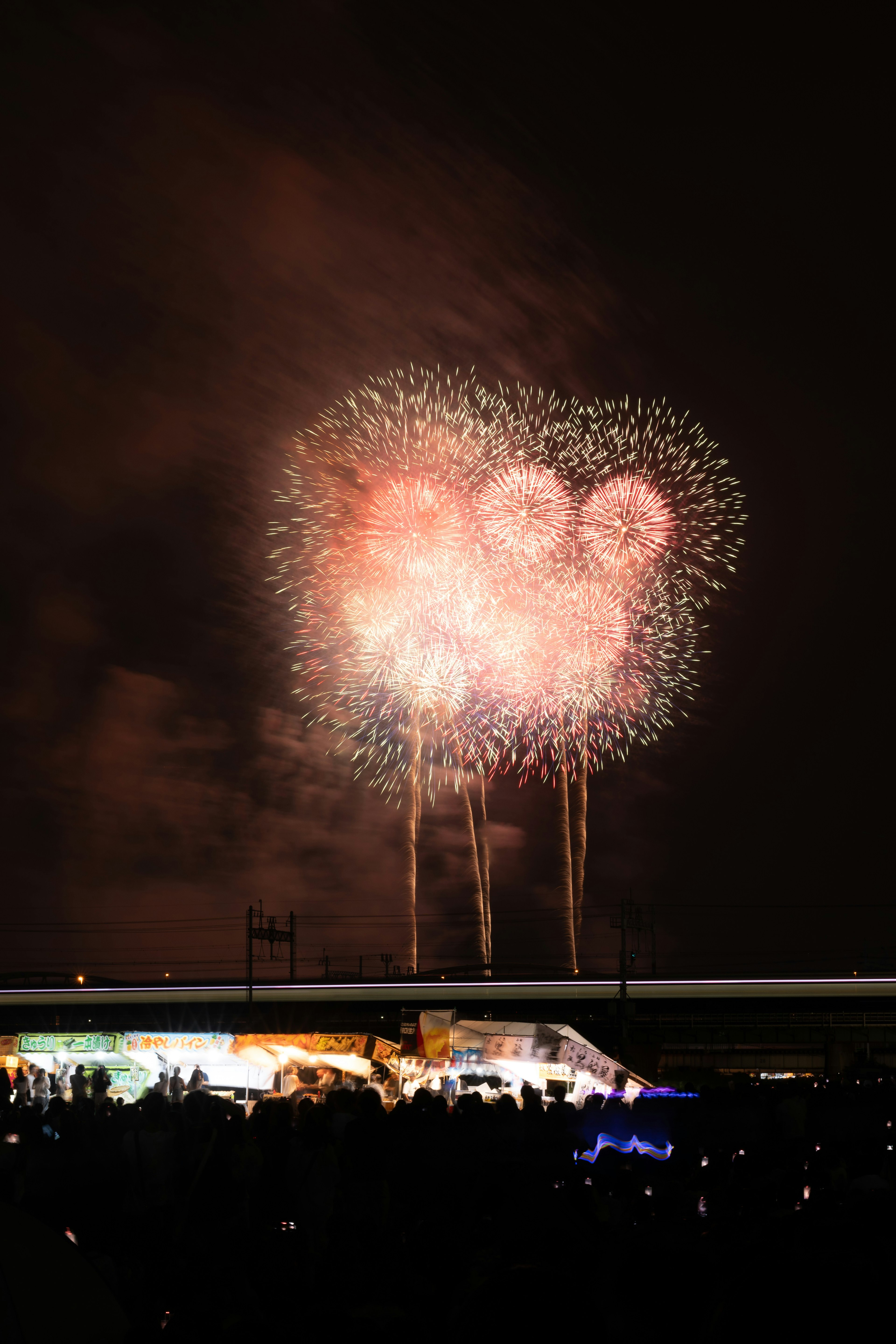 Spettacolare spettacolo di fuochi d'artificio che illumina il cielo notturno con un pubblico sottostante