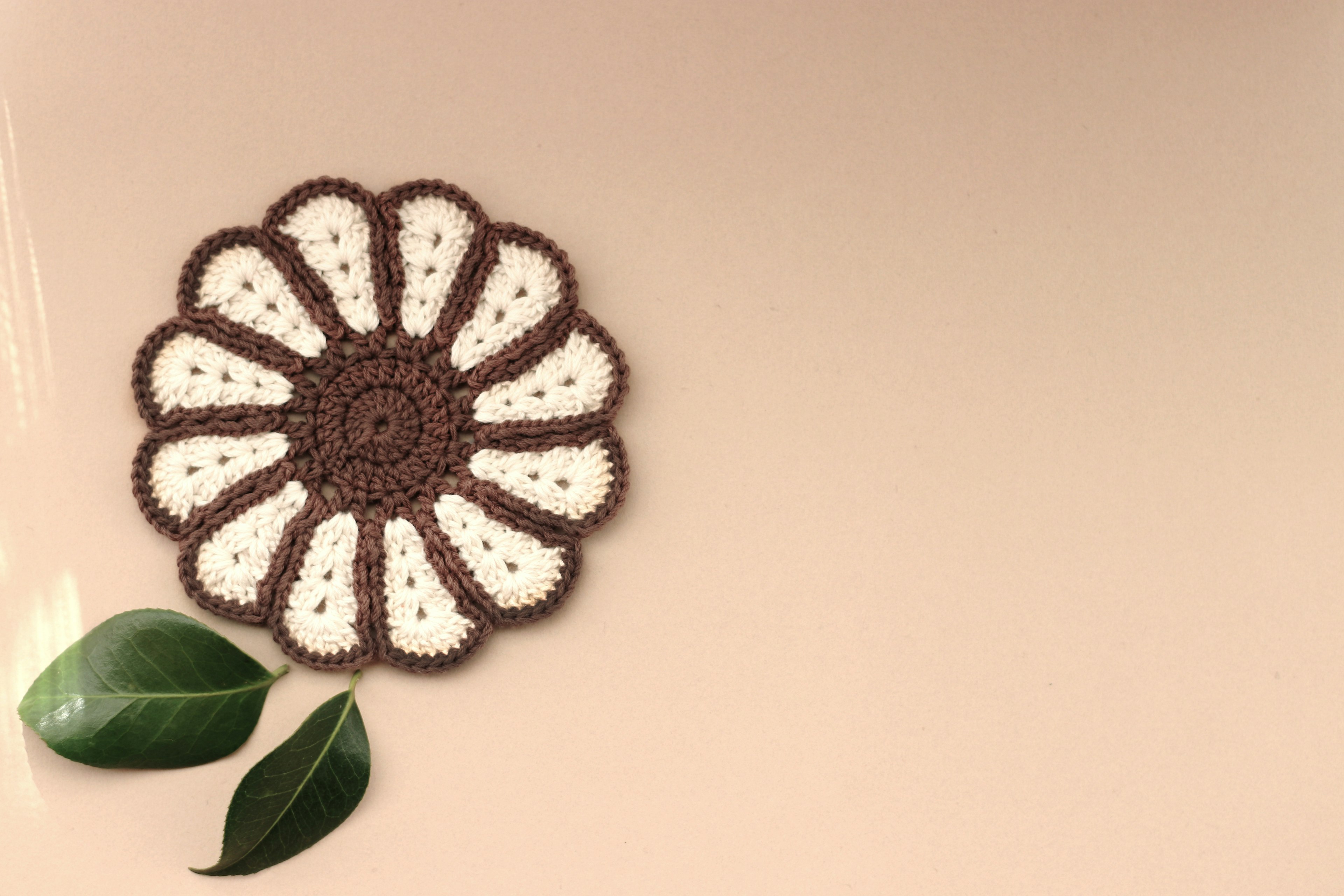 Crochet en forma de flor marrón y blanco con hojas verdes