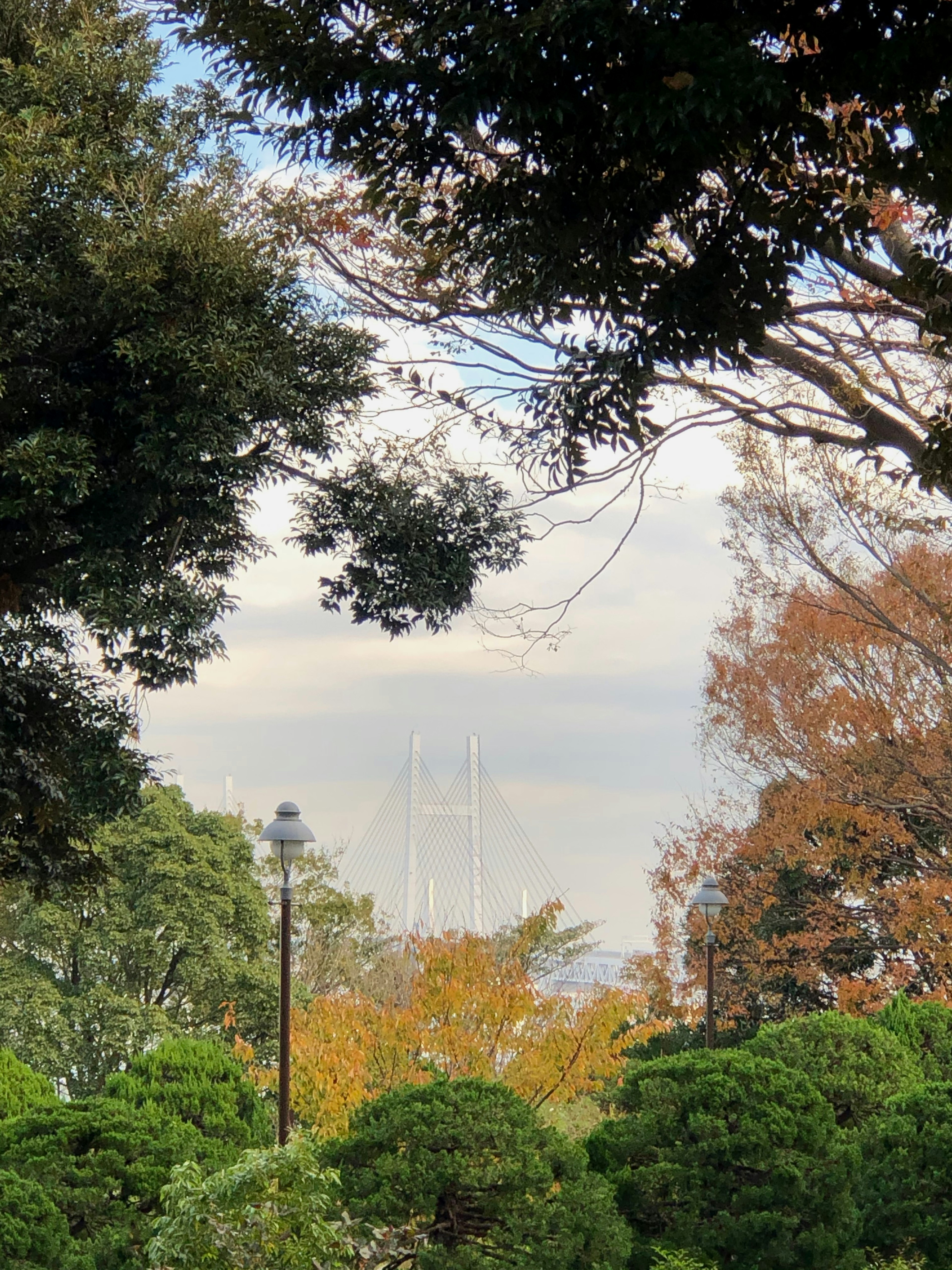 緑豊かな公園の景色と秋の紅葉が見える背景に高い建物のシルエット