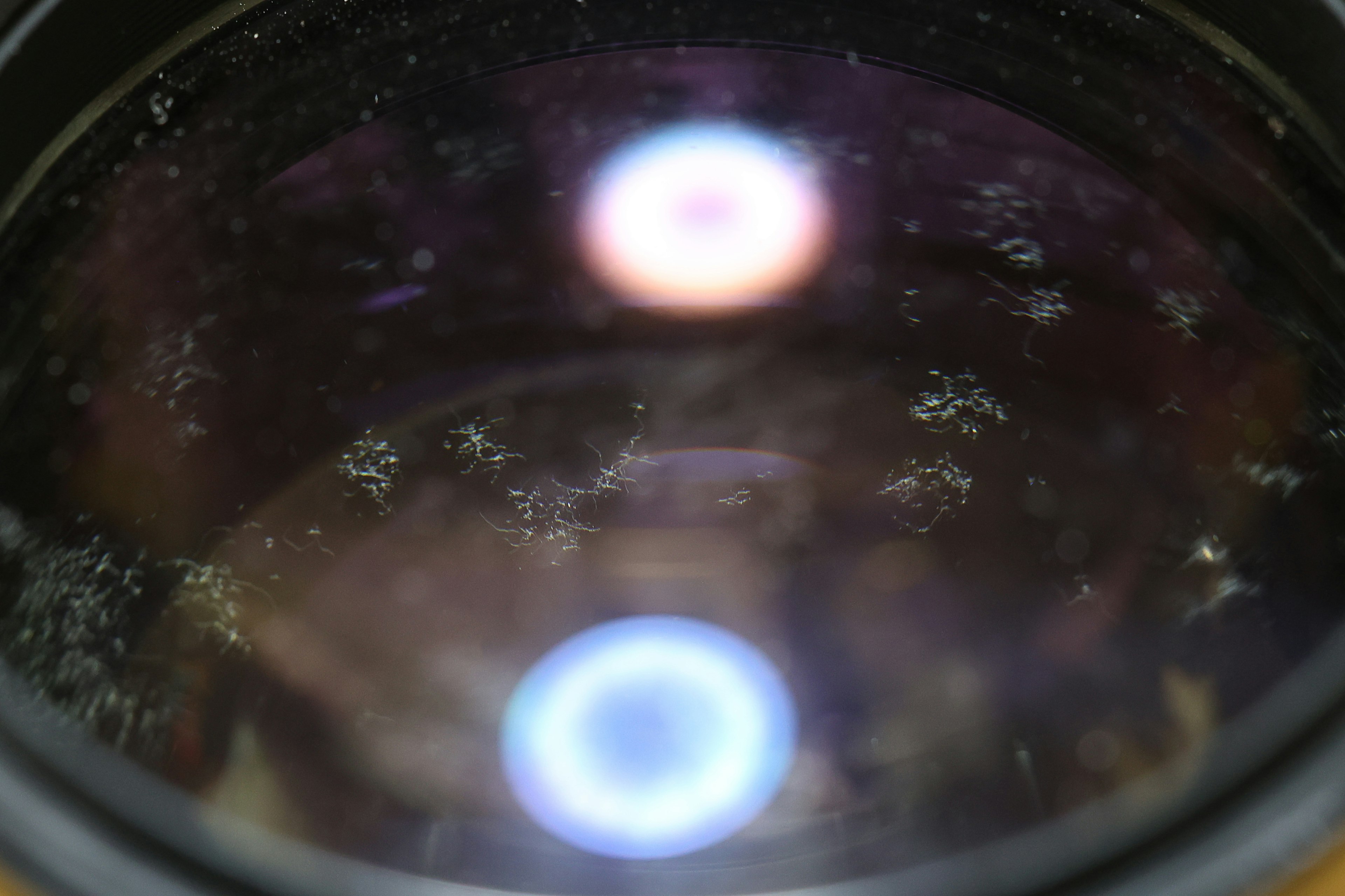 Close-up of a camera lens showing reflections and dirt