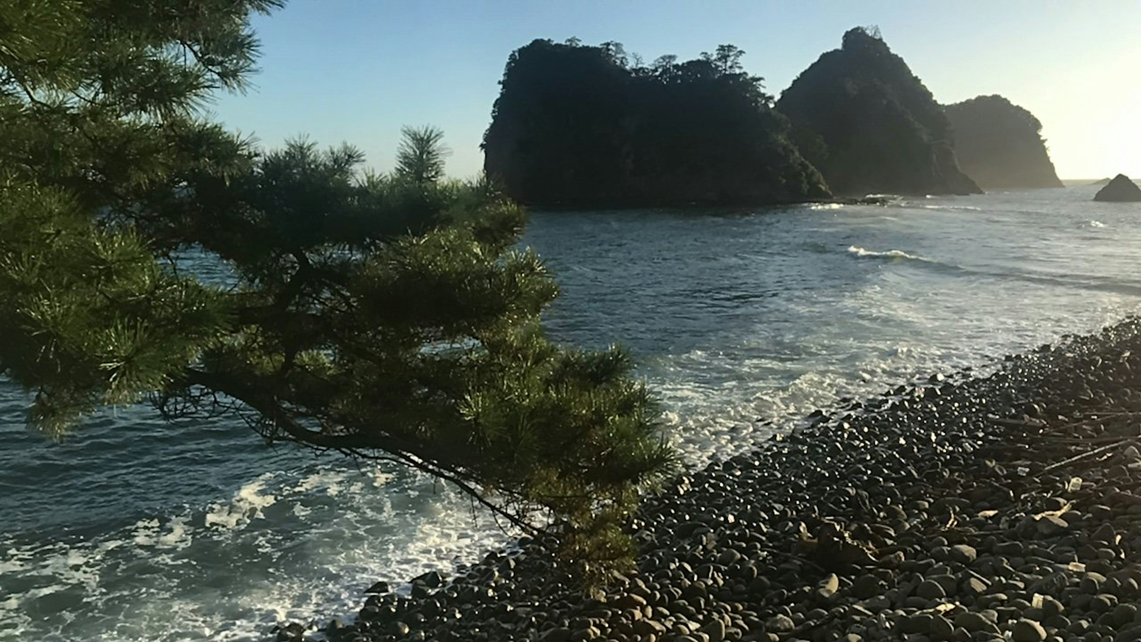 海岸风景与岩石悬崖和波浪，附近的松树，柔和光线中的自然美