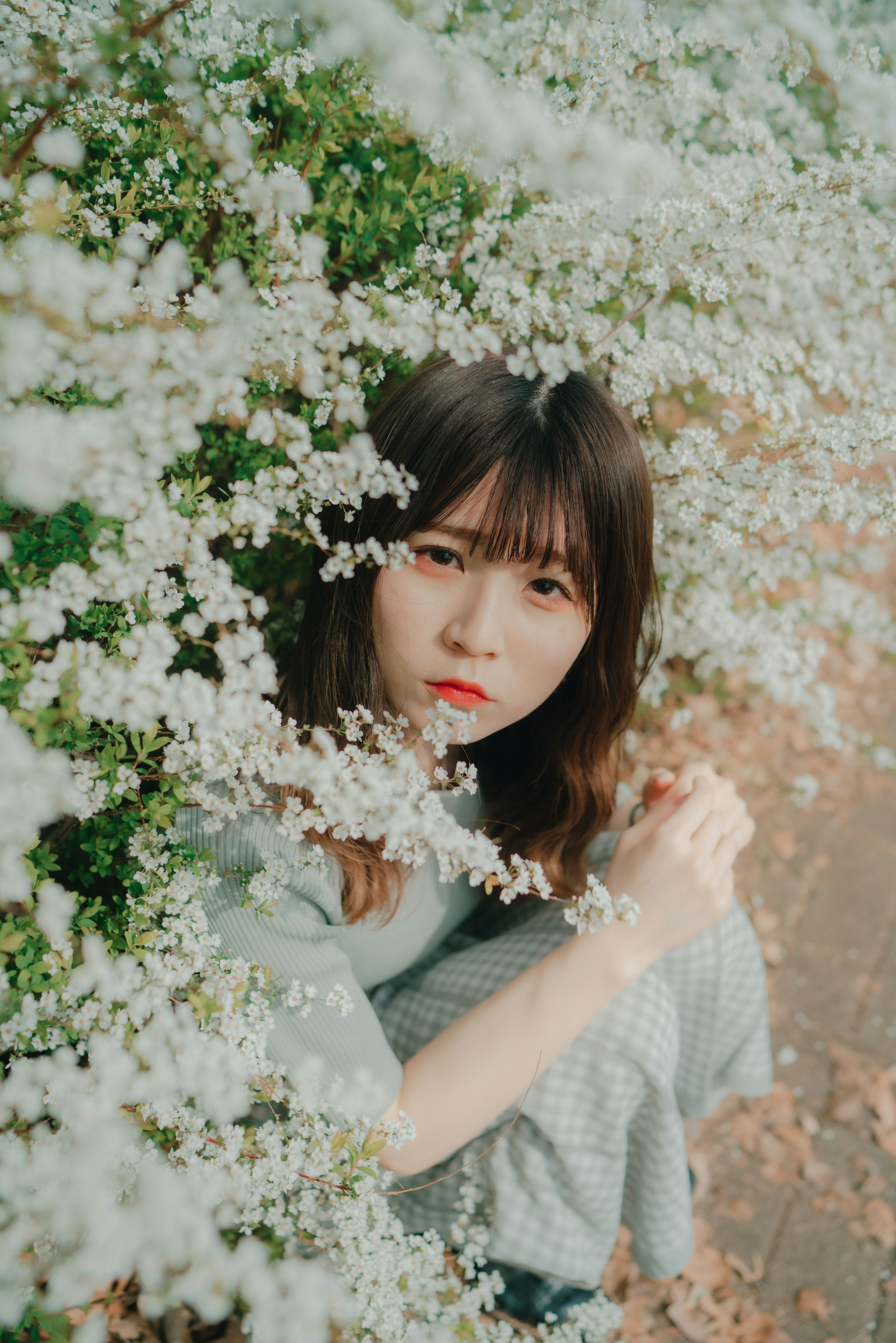 Jeune femme entourée de fleurs blanches