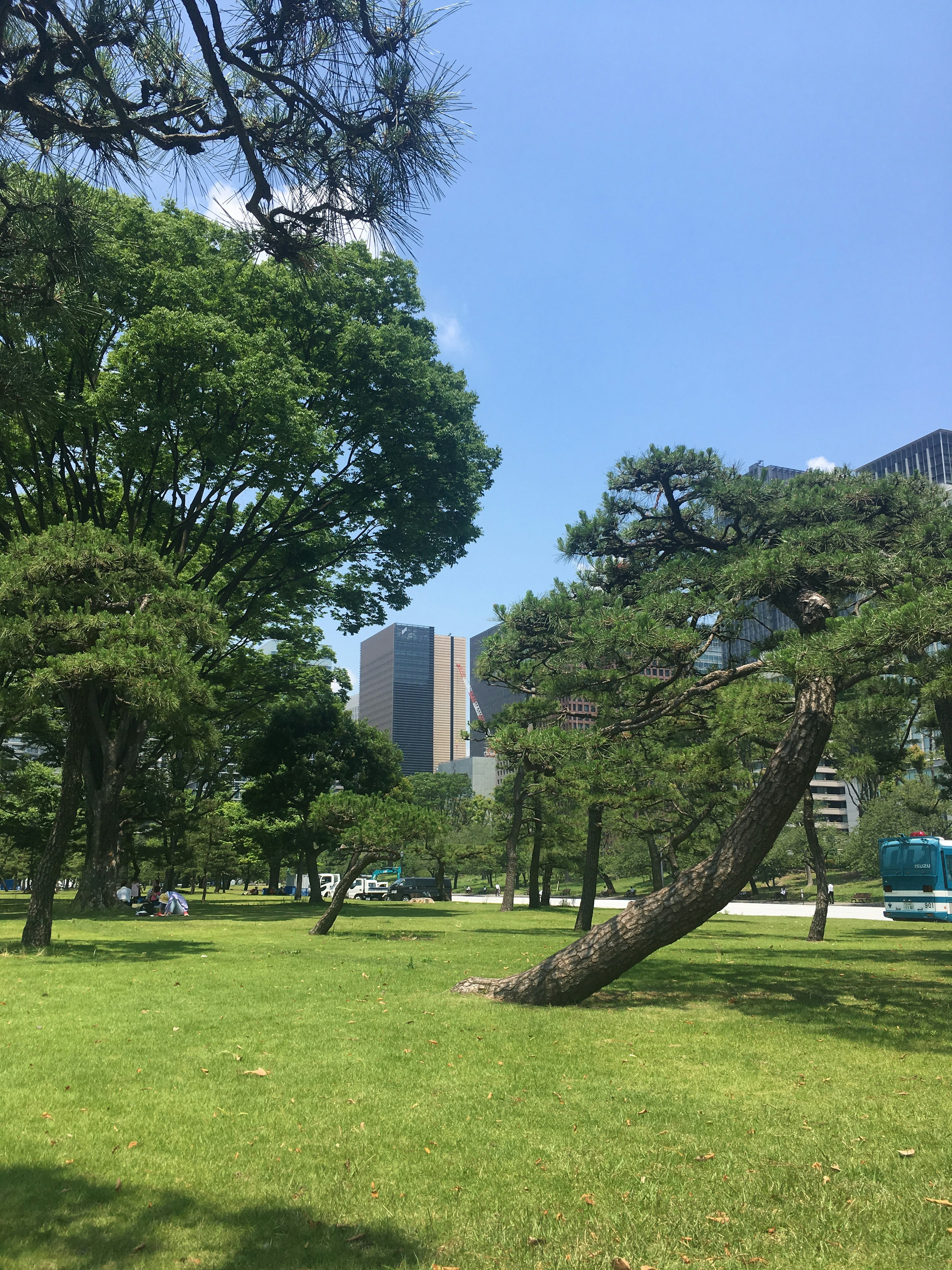 Eine üppige Parkszene unter einem blauen Himmel mit Bäumen und Wolkenkratzern im Hintergrund