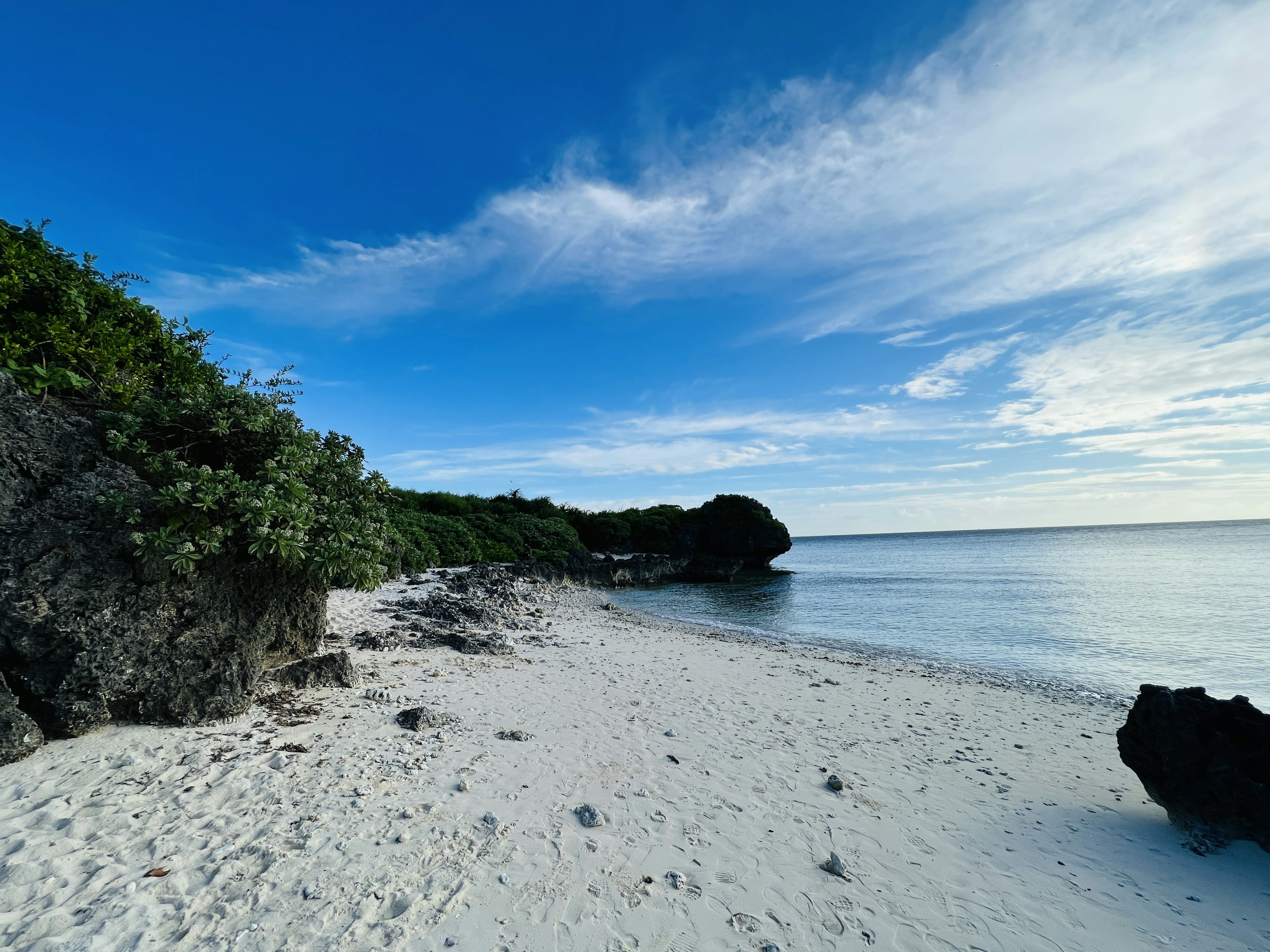 Pemandangan pantai yang indah dengan langit biru dan pasir putih yang memiliki tanaman dan batu