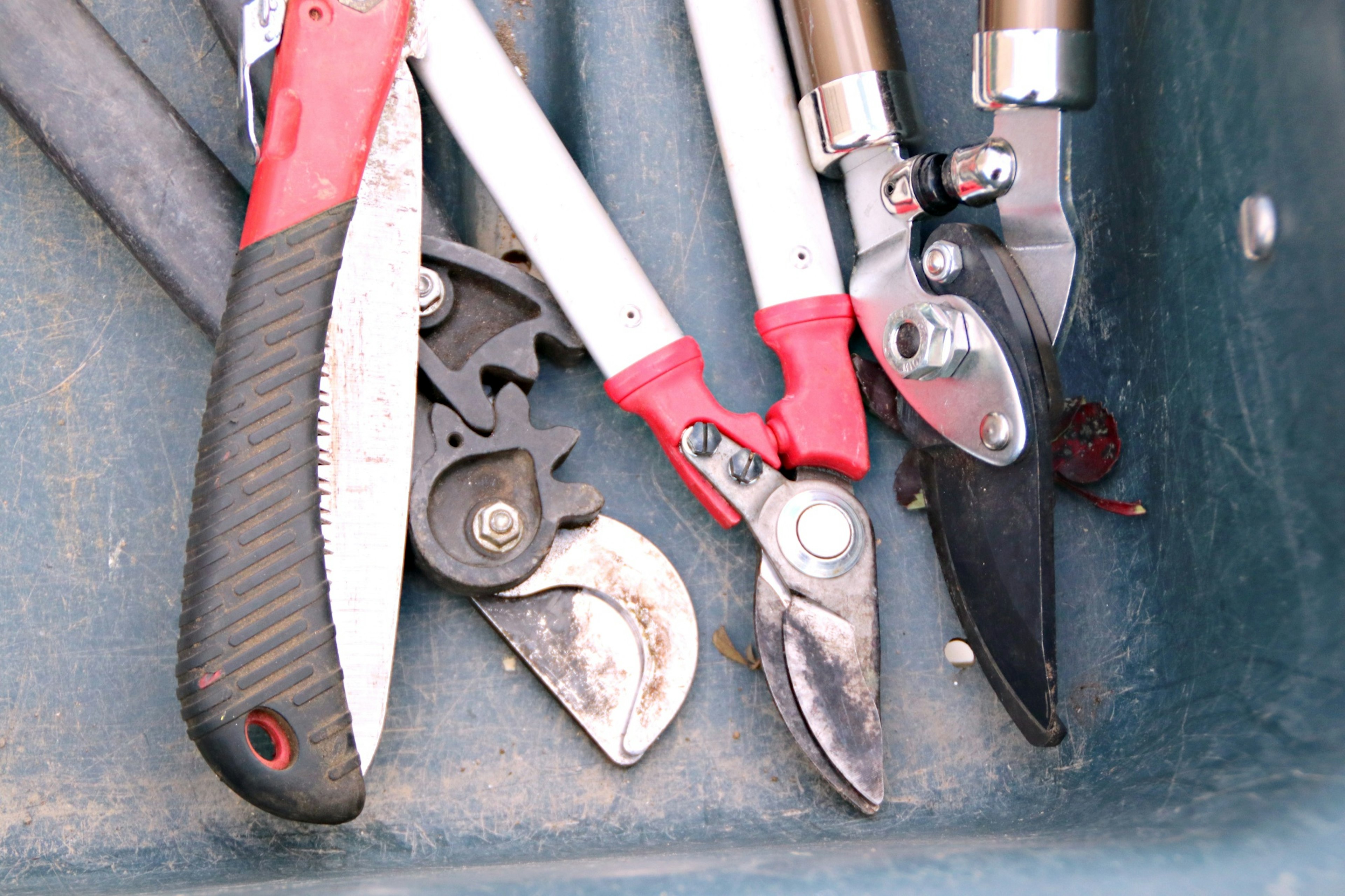 Set of pruning shears and hand tools in a green container