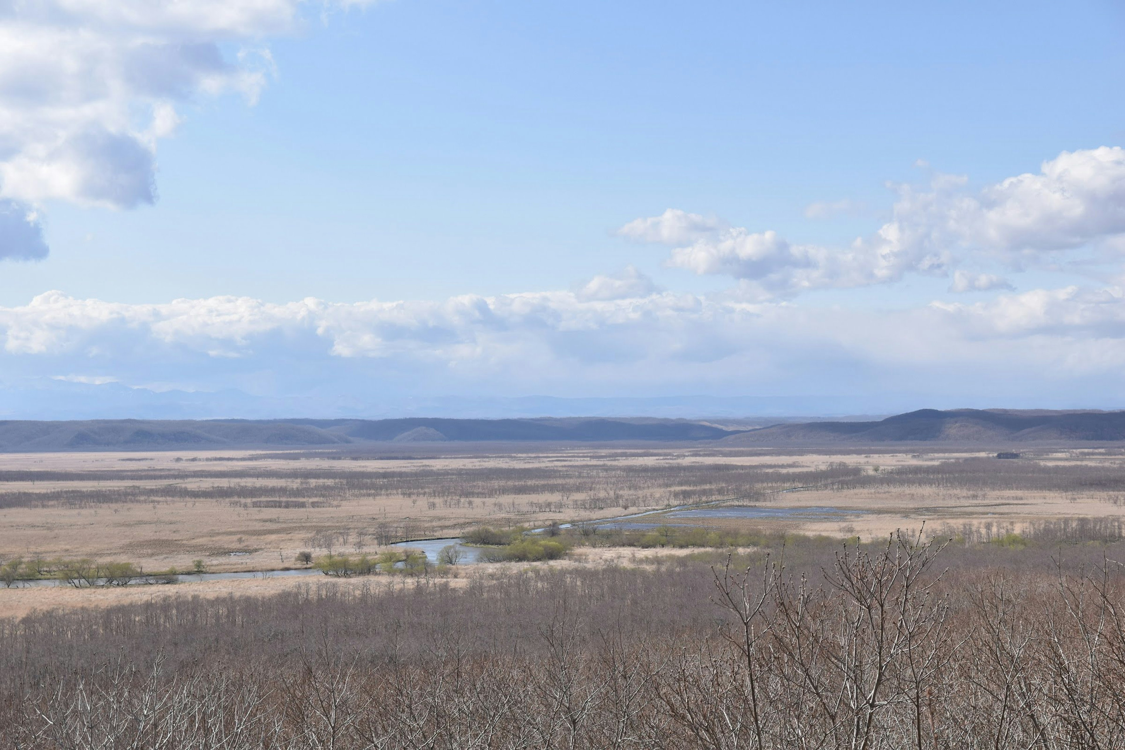 Prairie vaste sous un ciel bleu