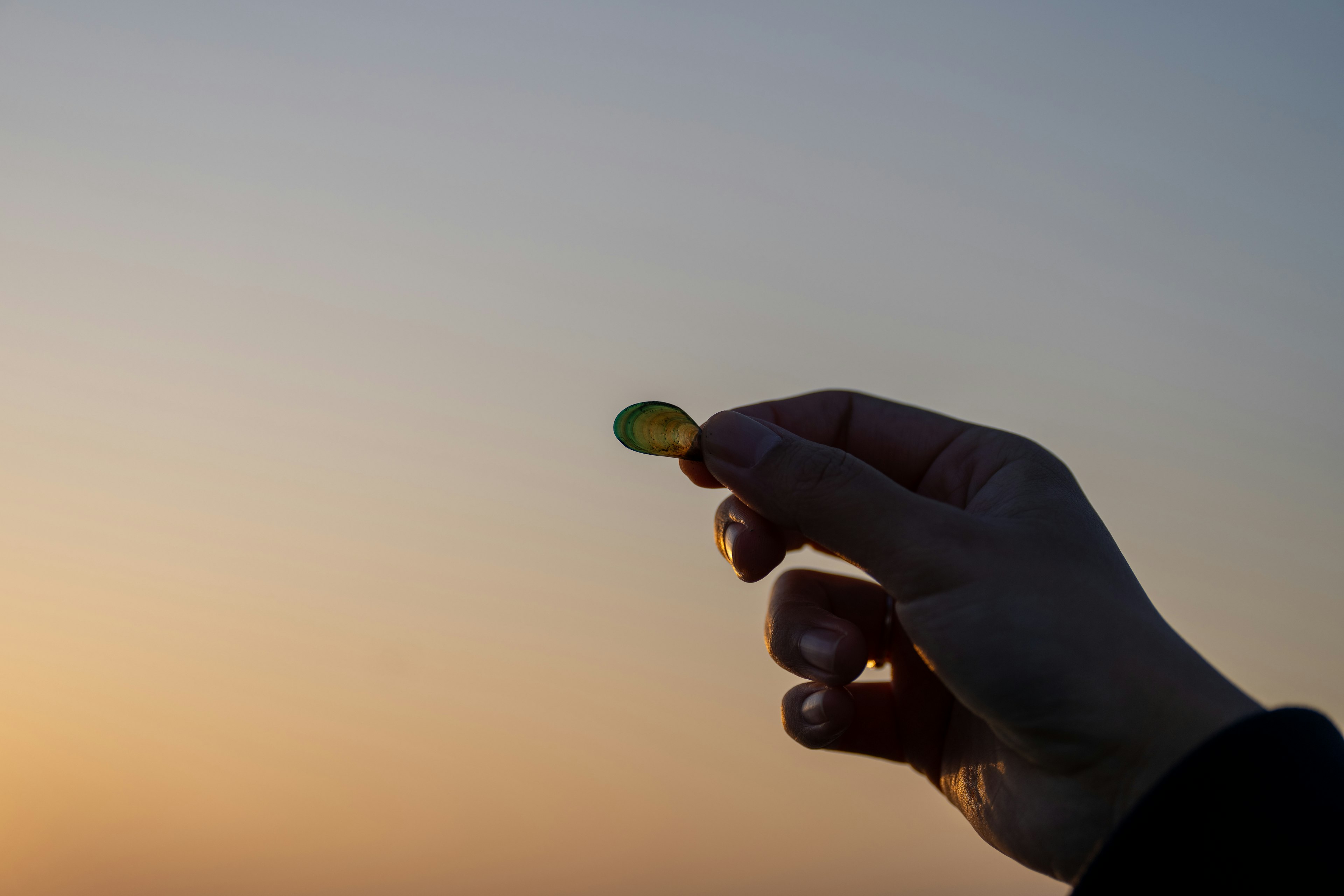 Hand holding a small green object against a sunset background