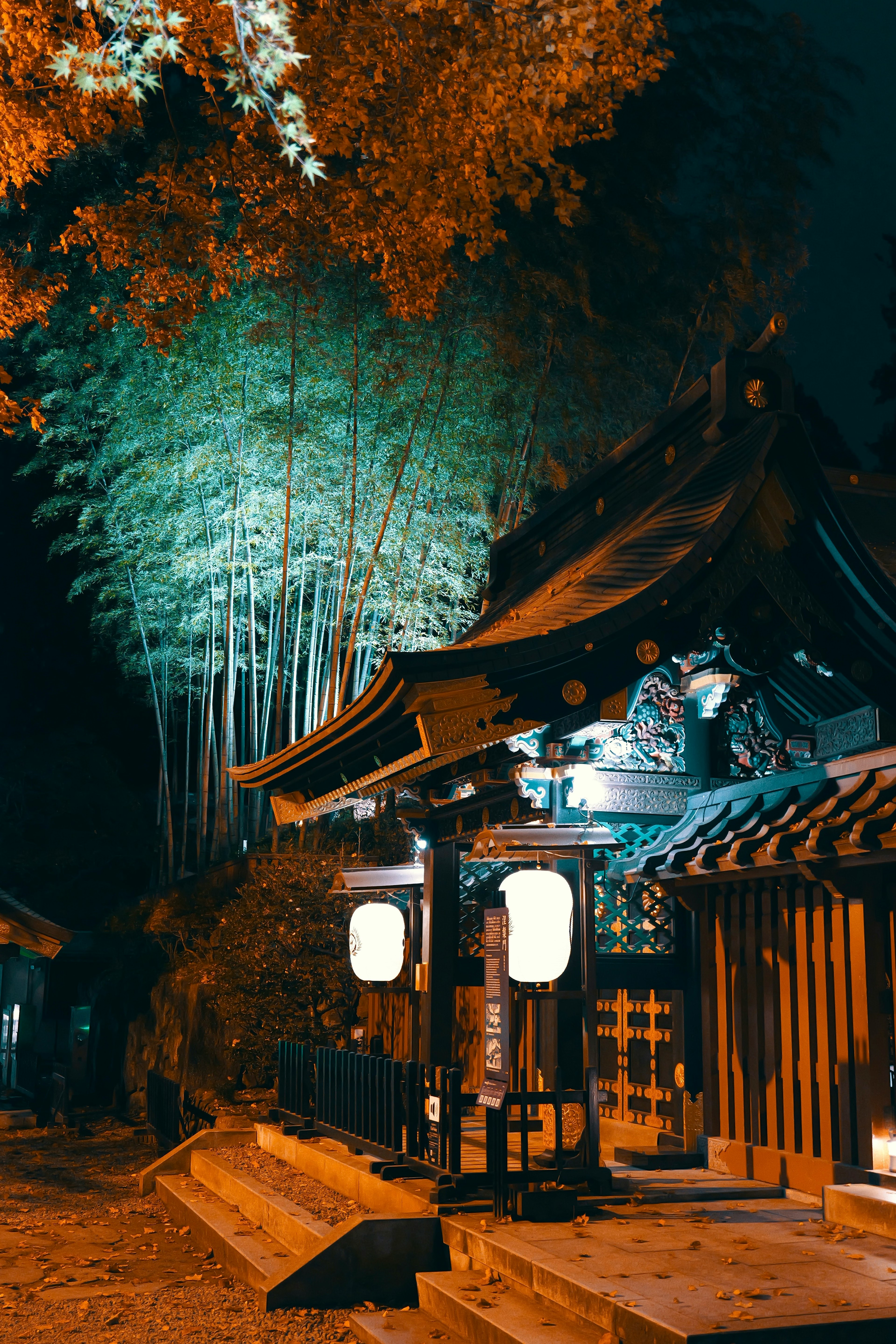 Edificio japonés tradicional con faroles frente a un bosque de bambú de noche