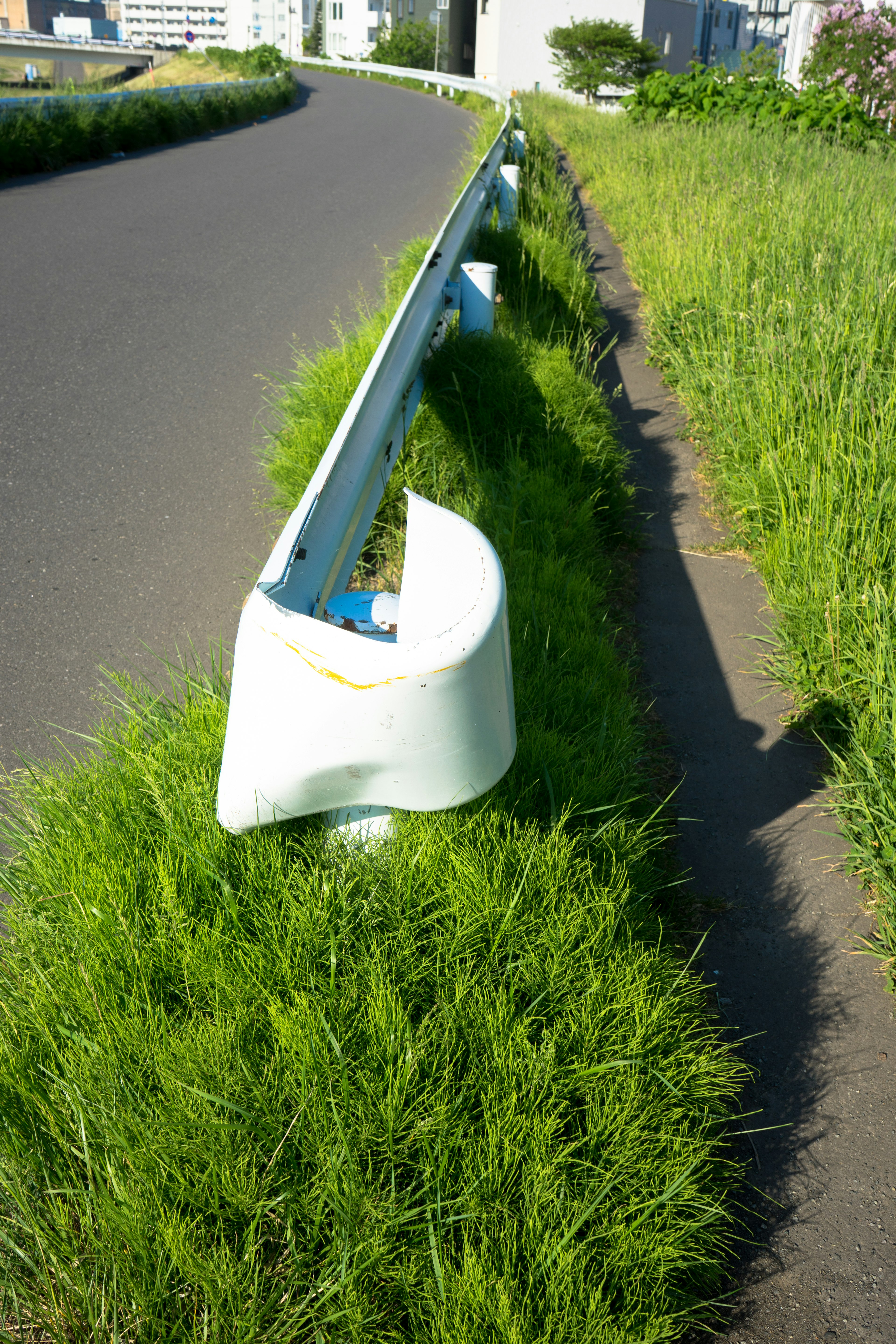 Weiße Leitplanke entlang einer Straße mit grünem Gras