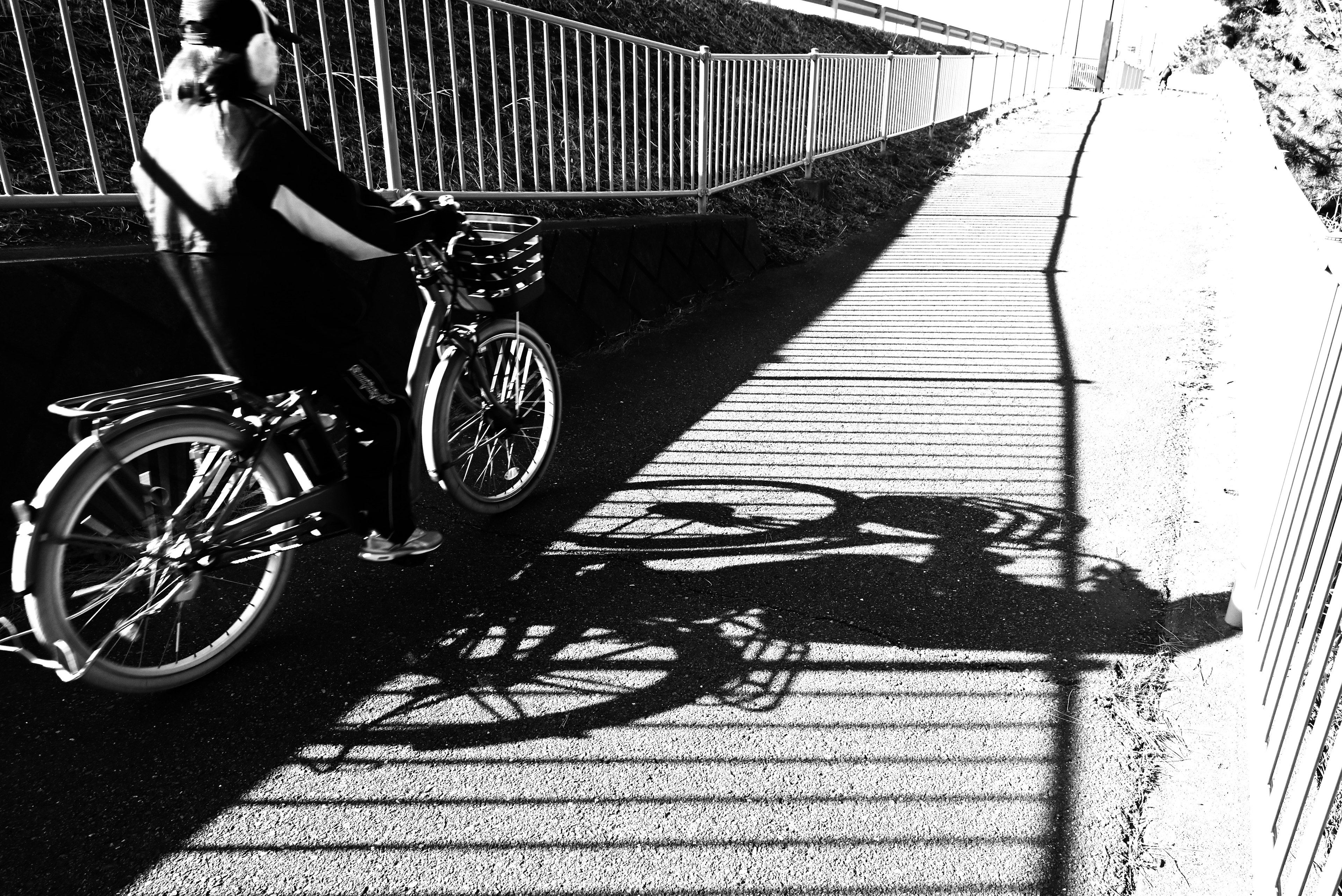 A person riding a bicycle casting a shadow in a black and white landscape