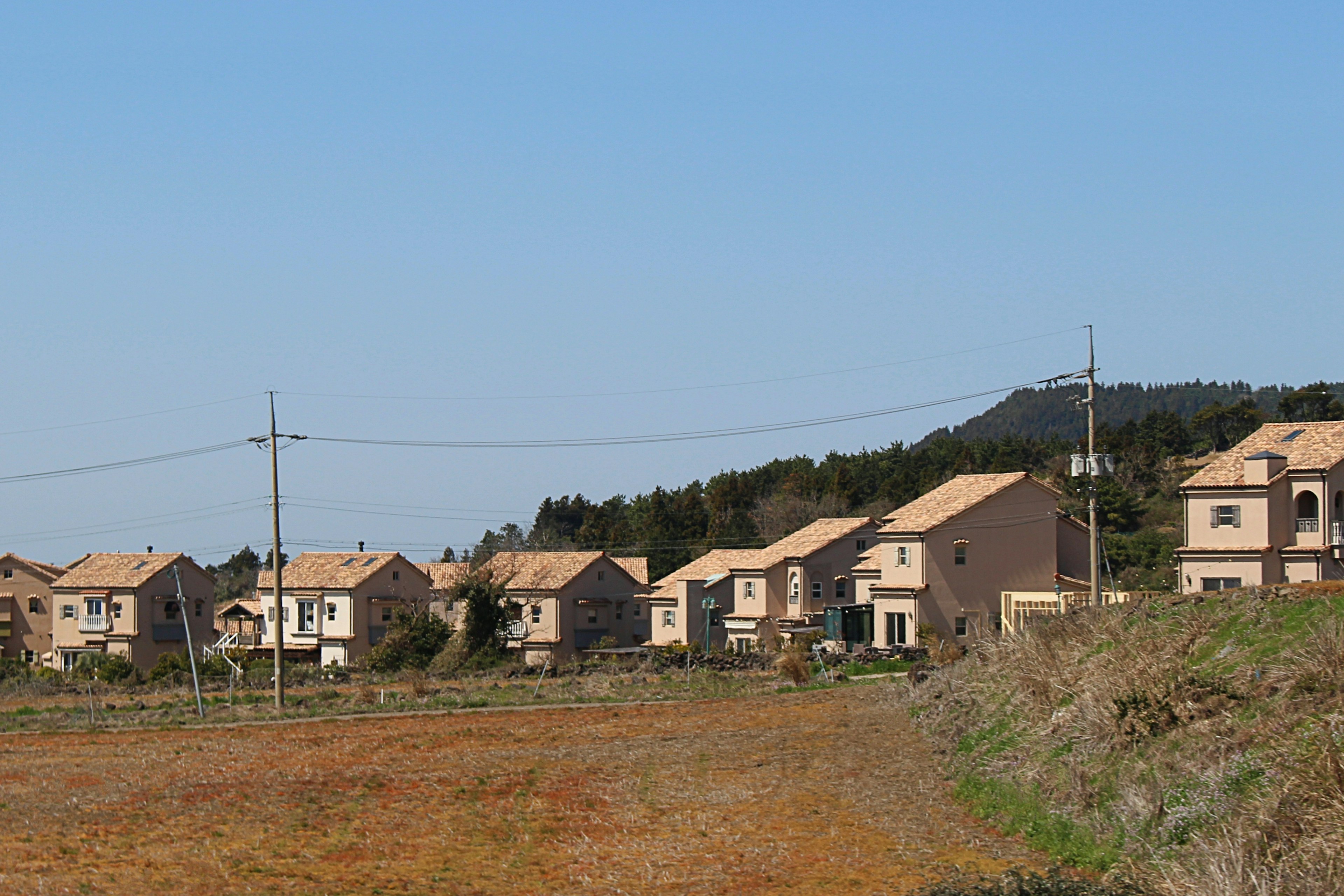 青空の下に並ぶ住宅と田畑の風景