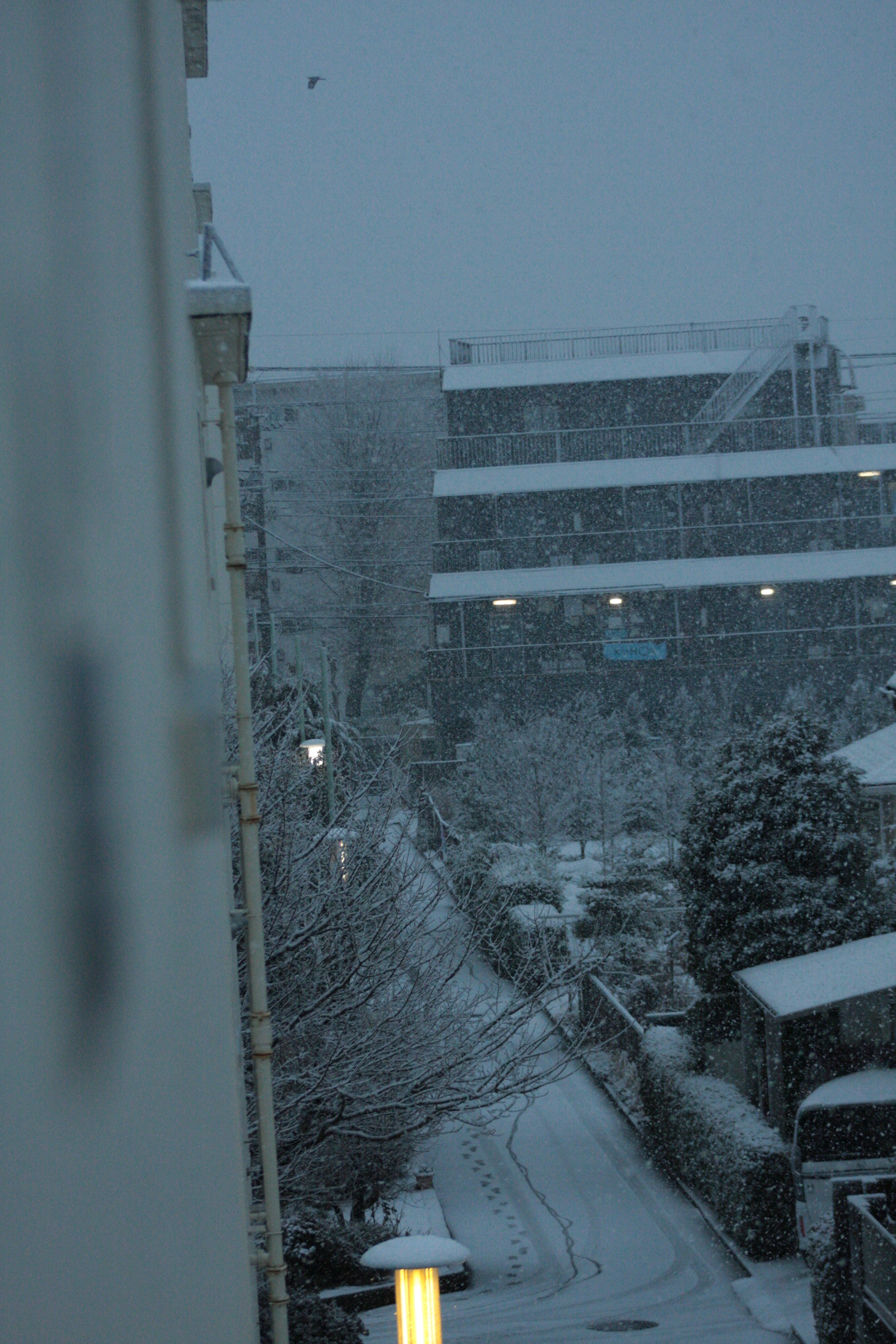 Schneebedeckte Straßenszene mit Gebäuden und schwach beleuchteten Straßenlaternen