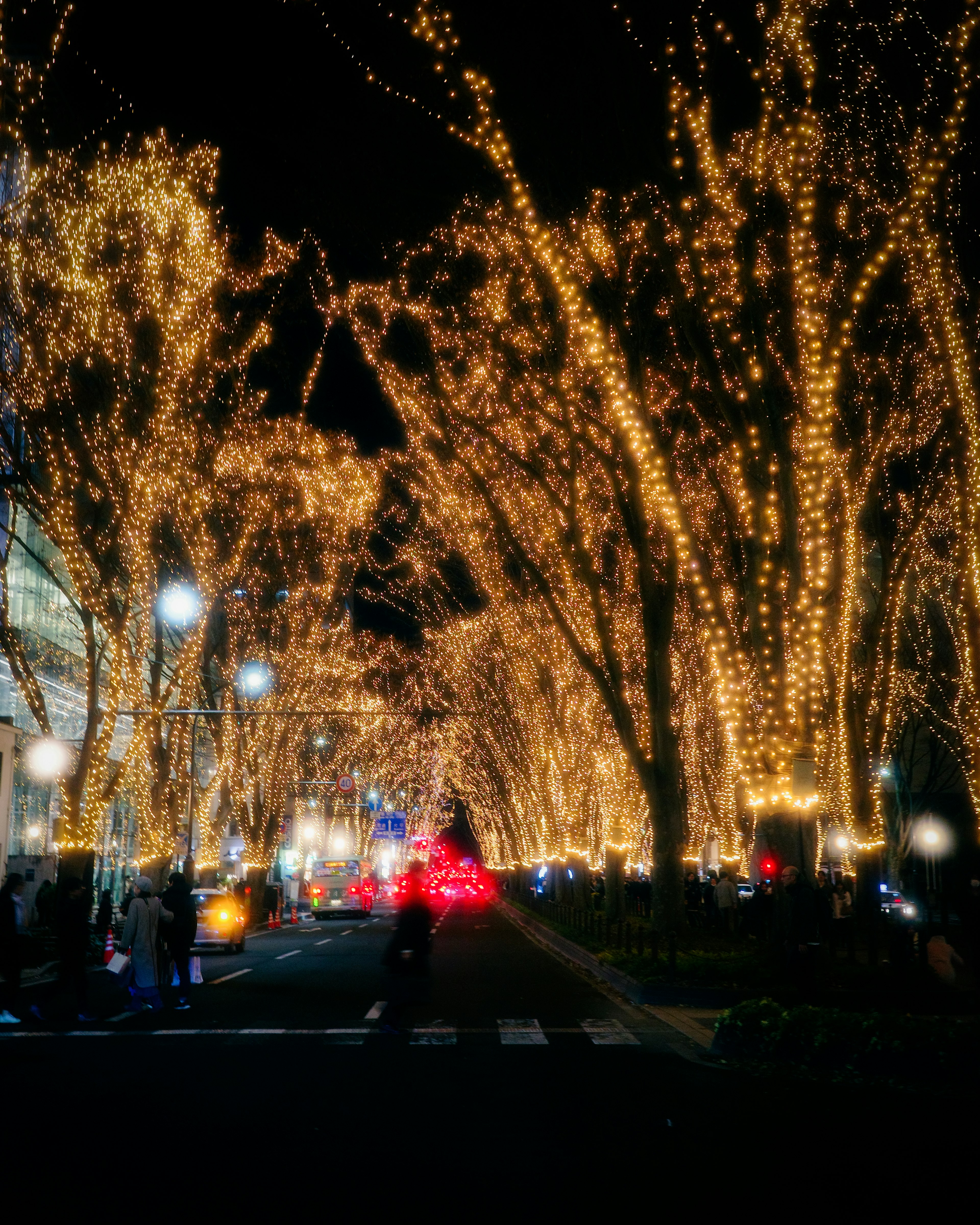 Illuminated trees along a street at night with pedestrians