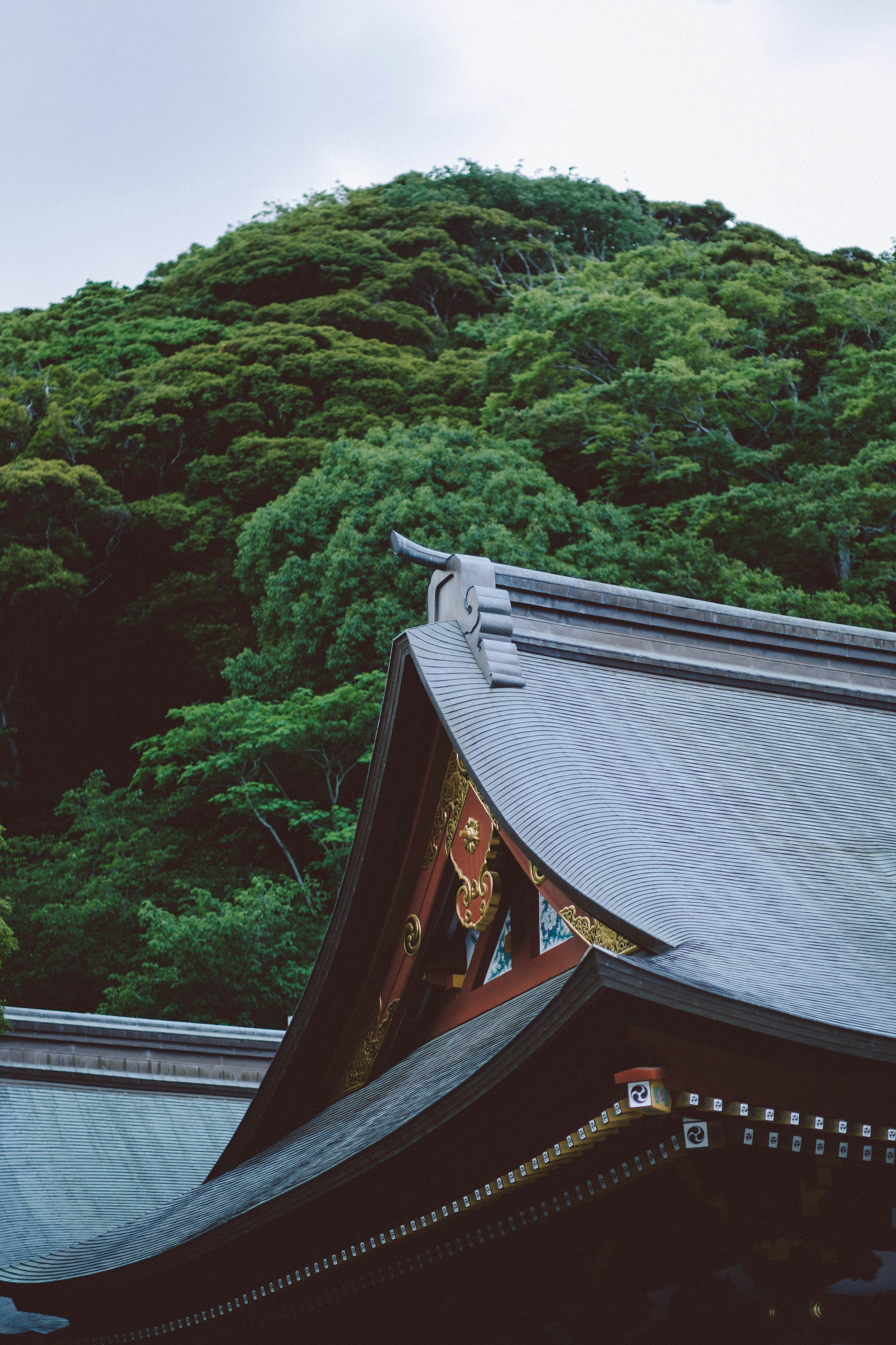 Traditionelles japanisches Dach mit üppigem grünem Berg im Hintergrund