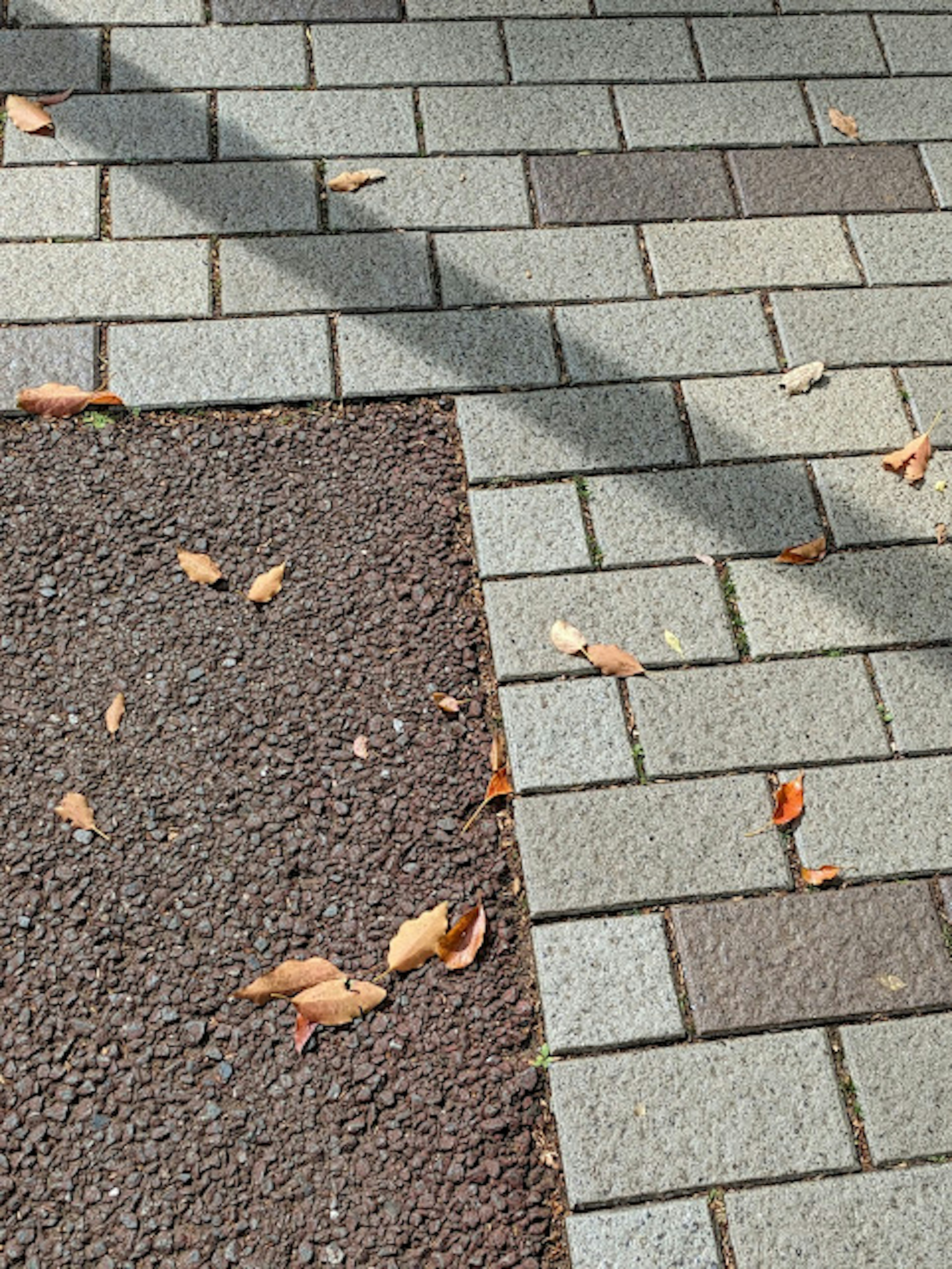 Image montrant des feuilles tombées sur le pavé avec une surface de carreaux en motif