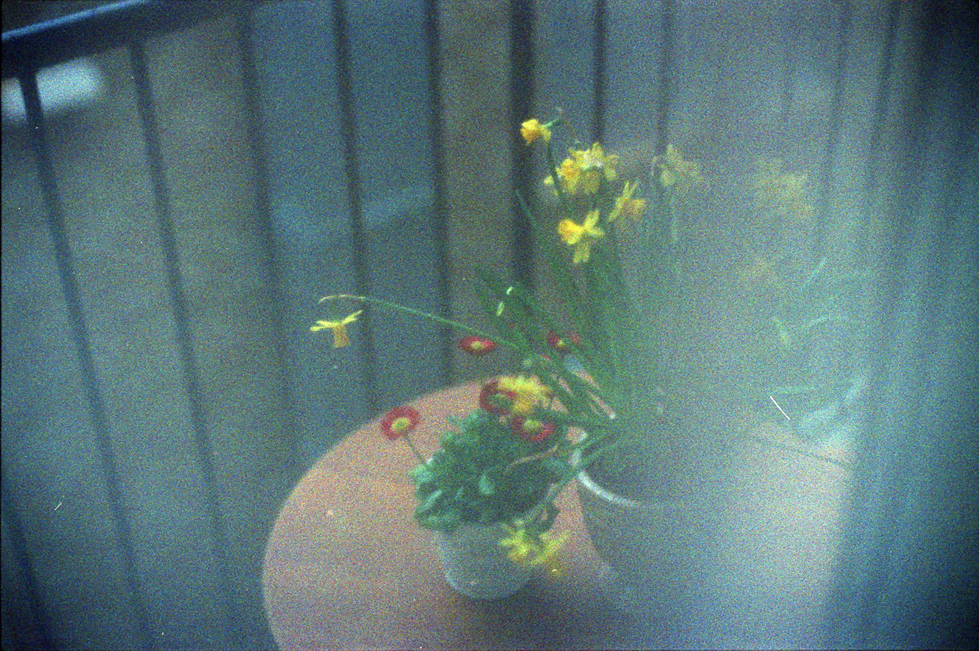 Potted yellow and red flowers on a table near a railing