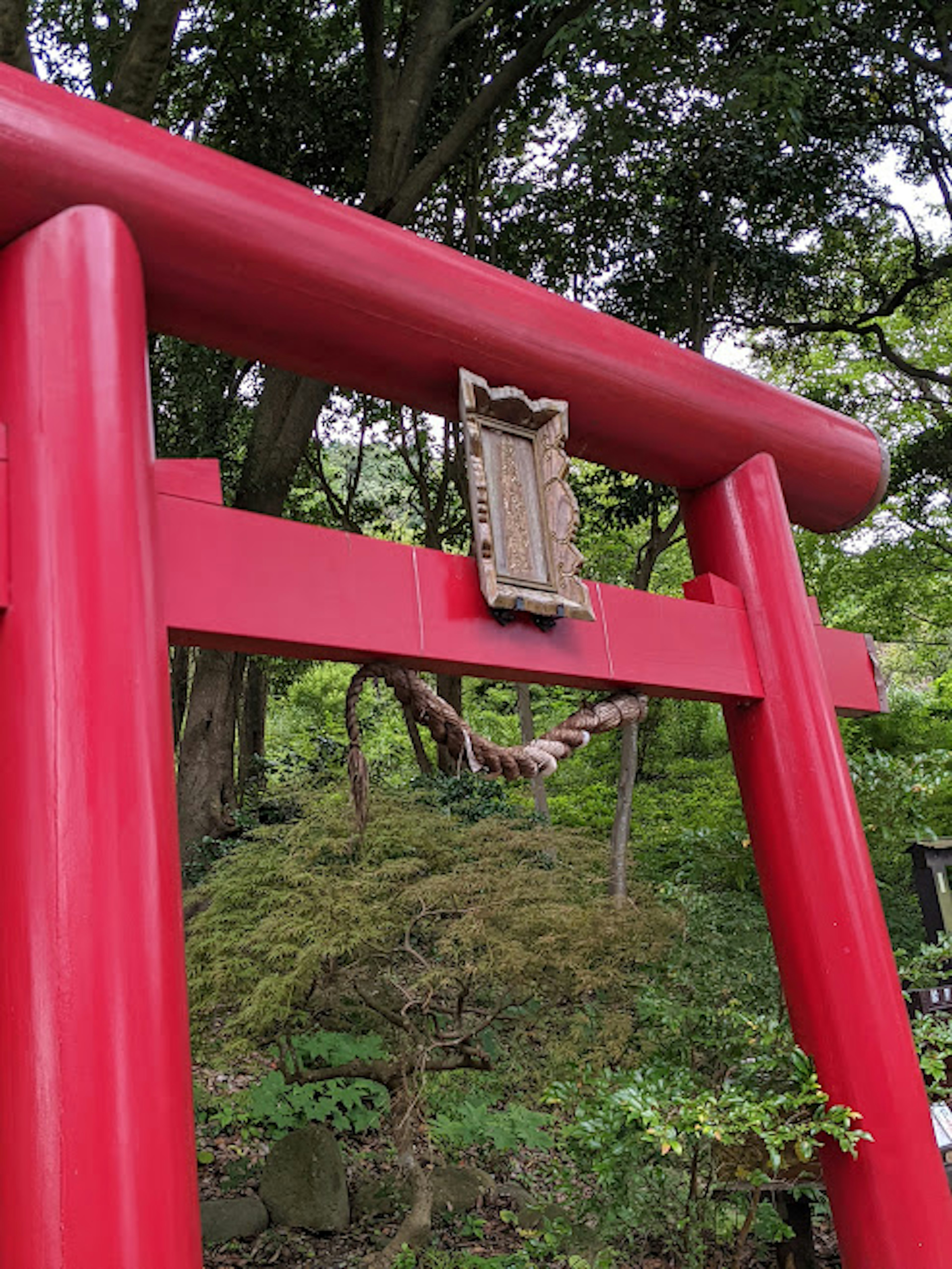 Rotes Torii mit Holztafel umgeben von Grün