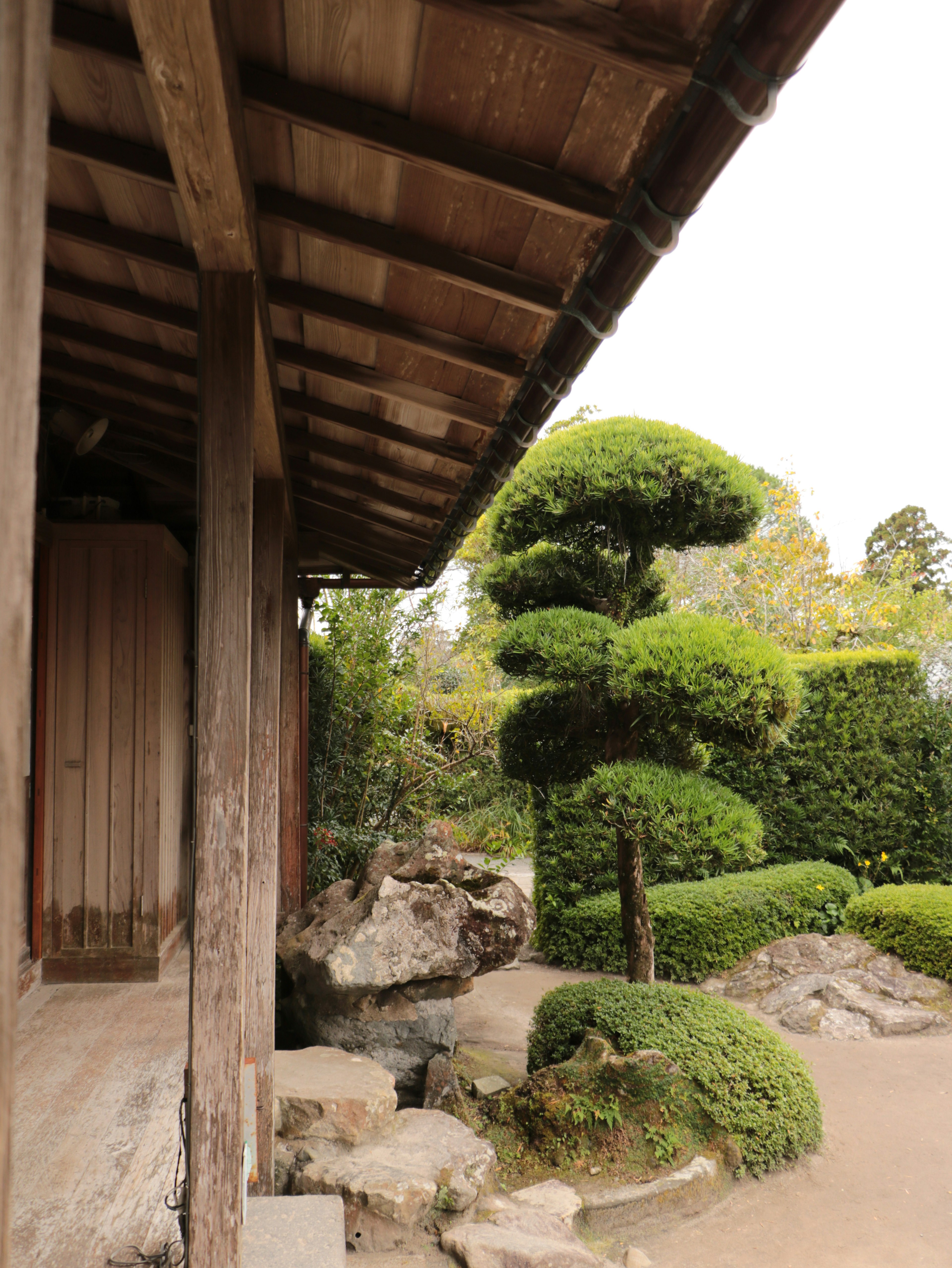 Esquina de un edificio de madera con un jardín japonés tradicional que presenta vegetación exuberante y rocas