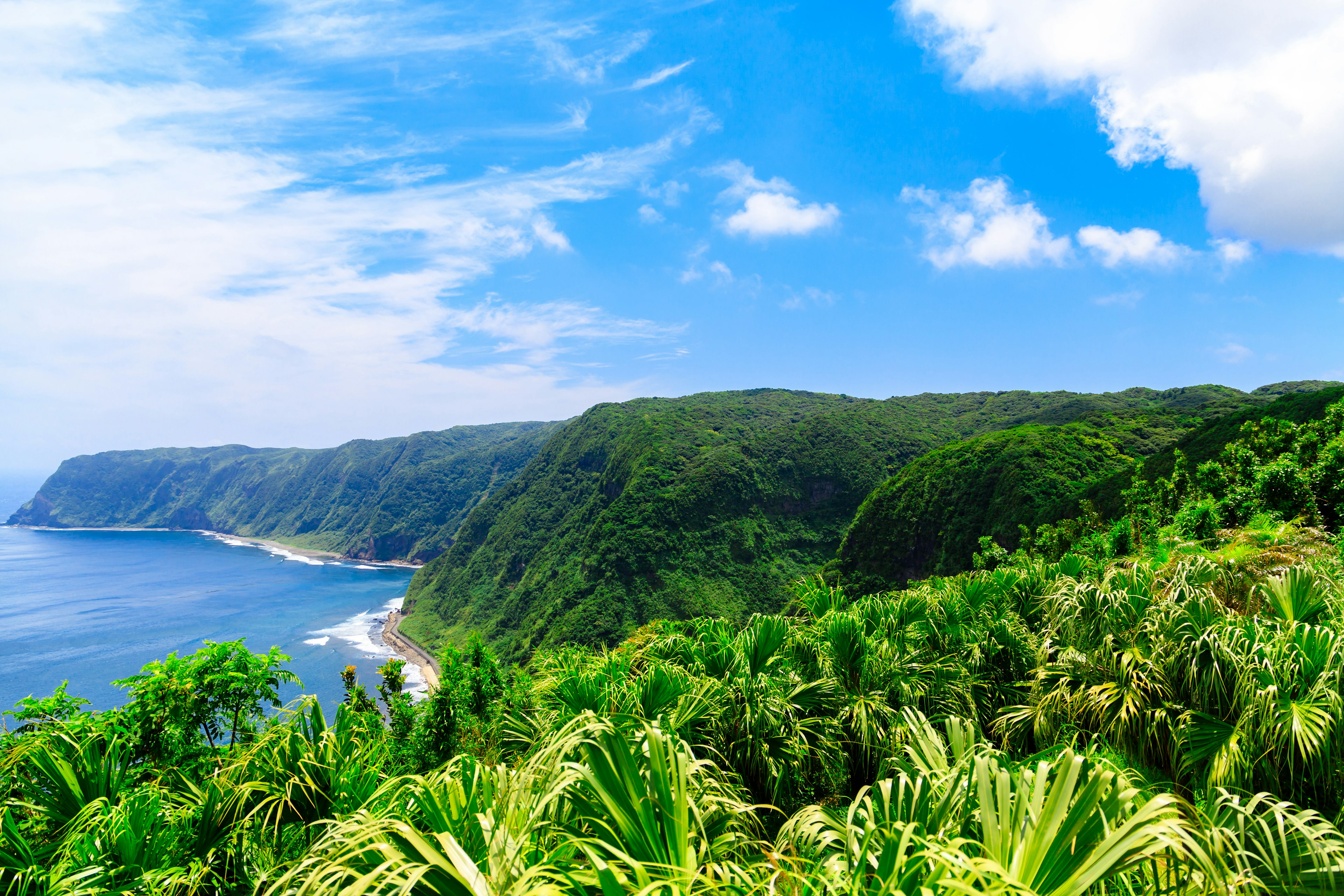 青い海と緑の山々が広がる風景