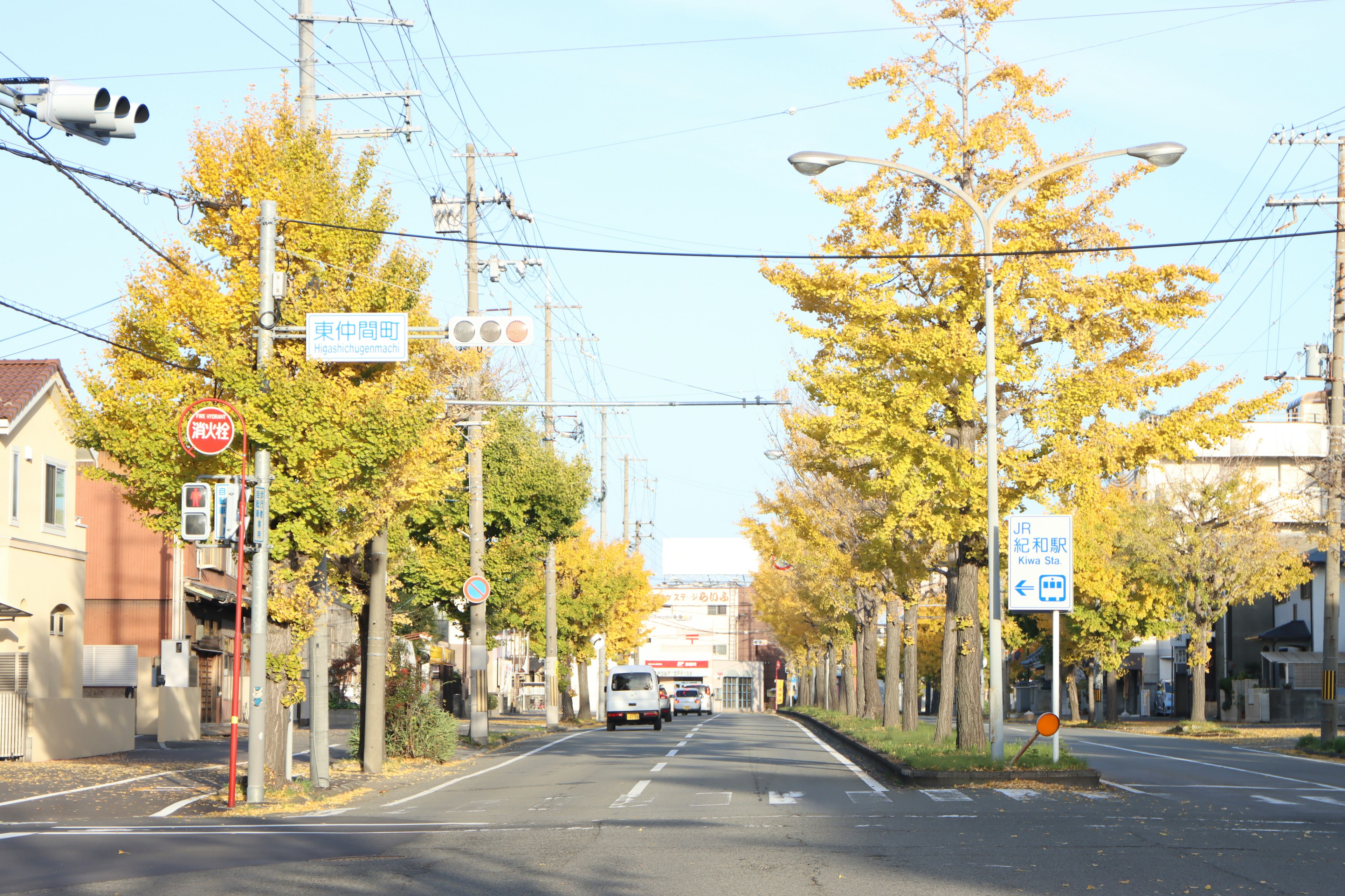 Autumn tree-lined street with blue sky