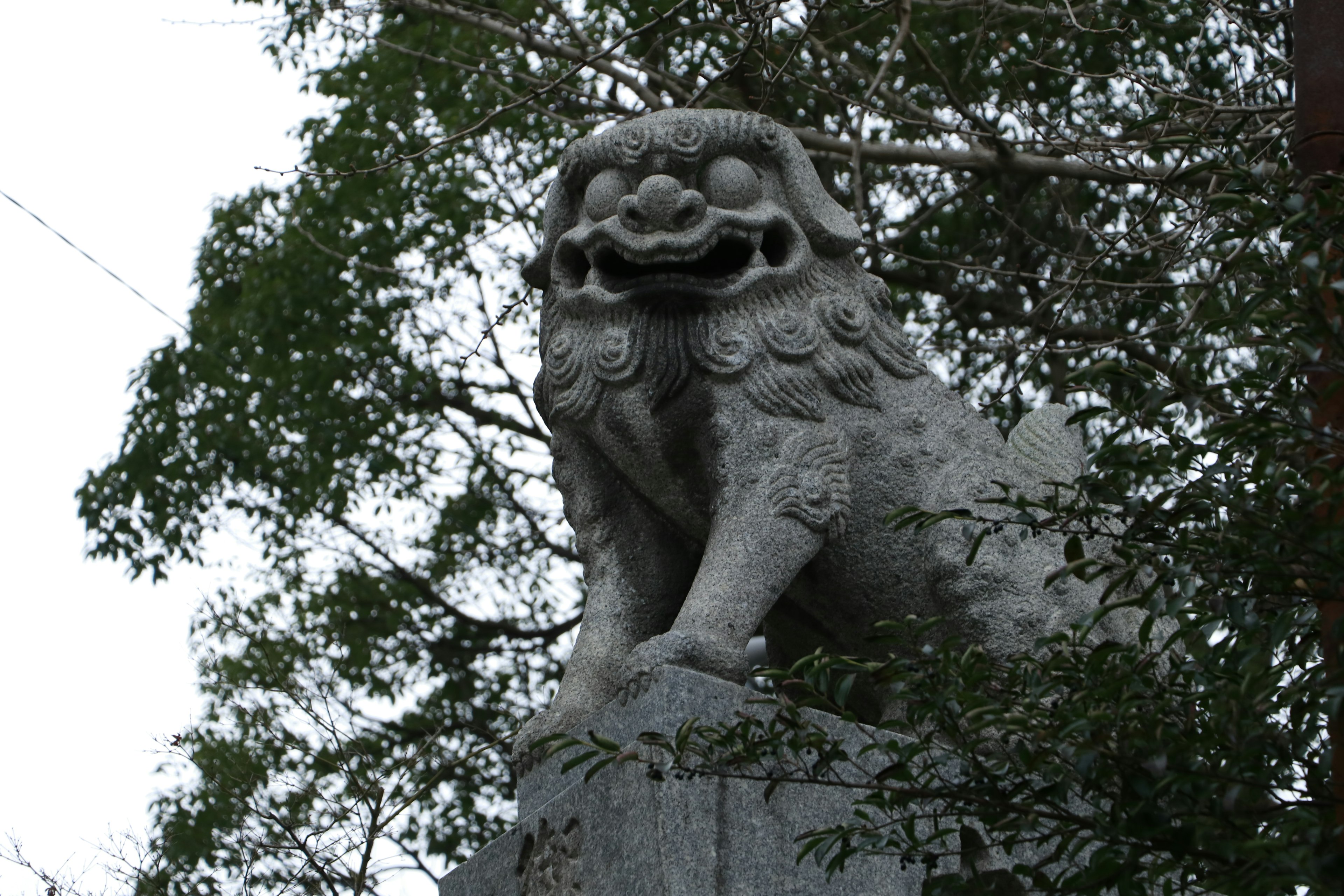 Statua di cane guardiano in pietra tra gli alberi