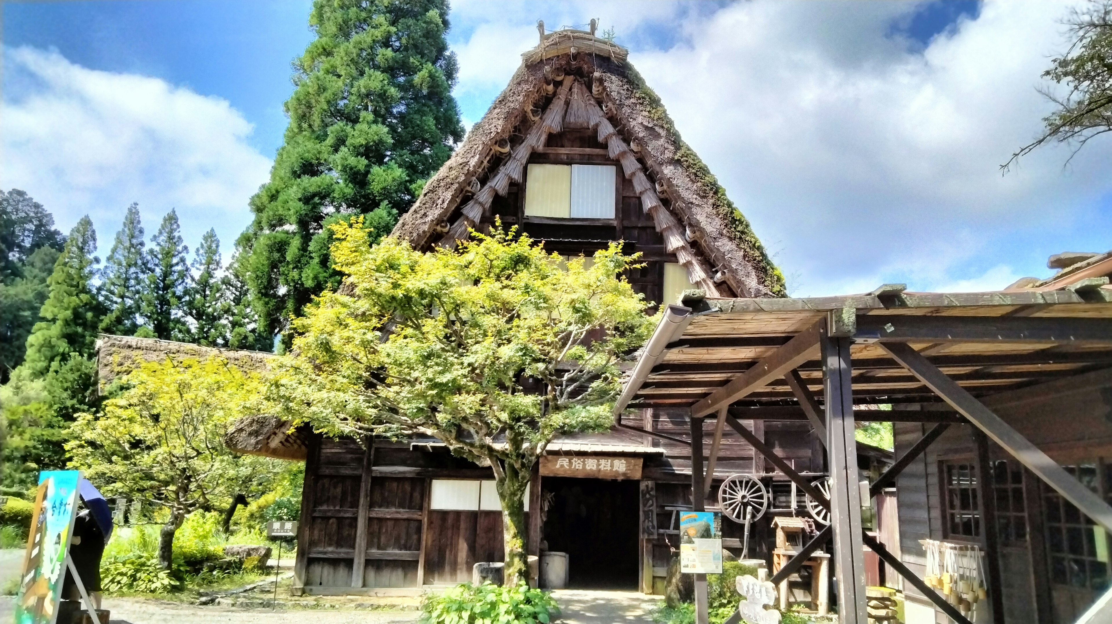 伝統的な合掌造りの家と緑豊かな風景