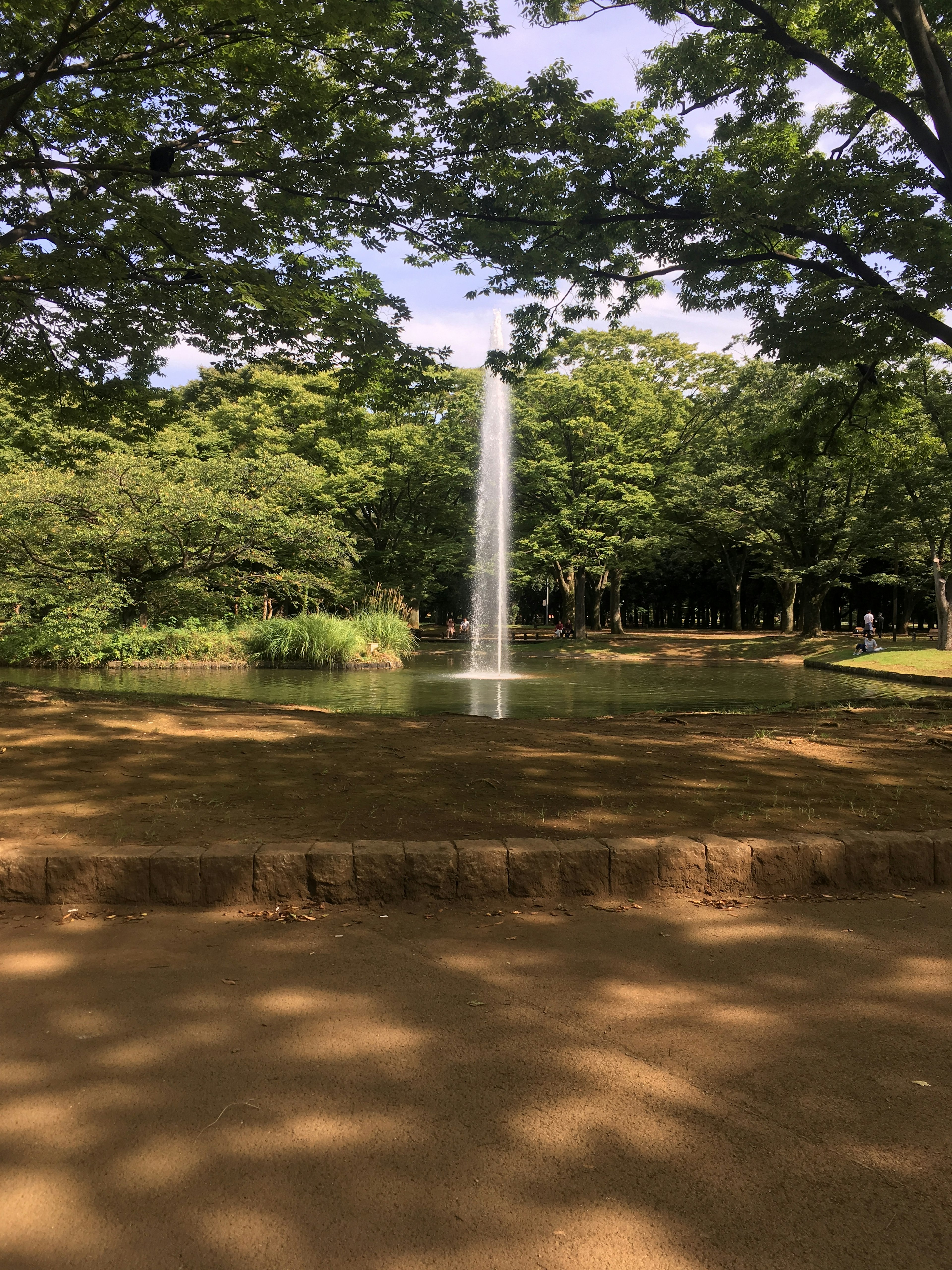 公園池塘中的噴泉，四周環繞著茂盛的樹木